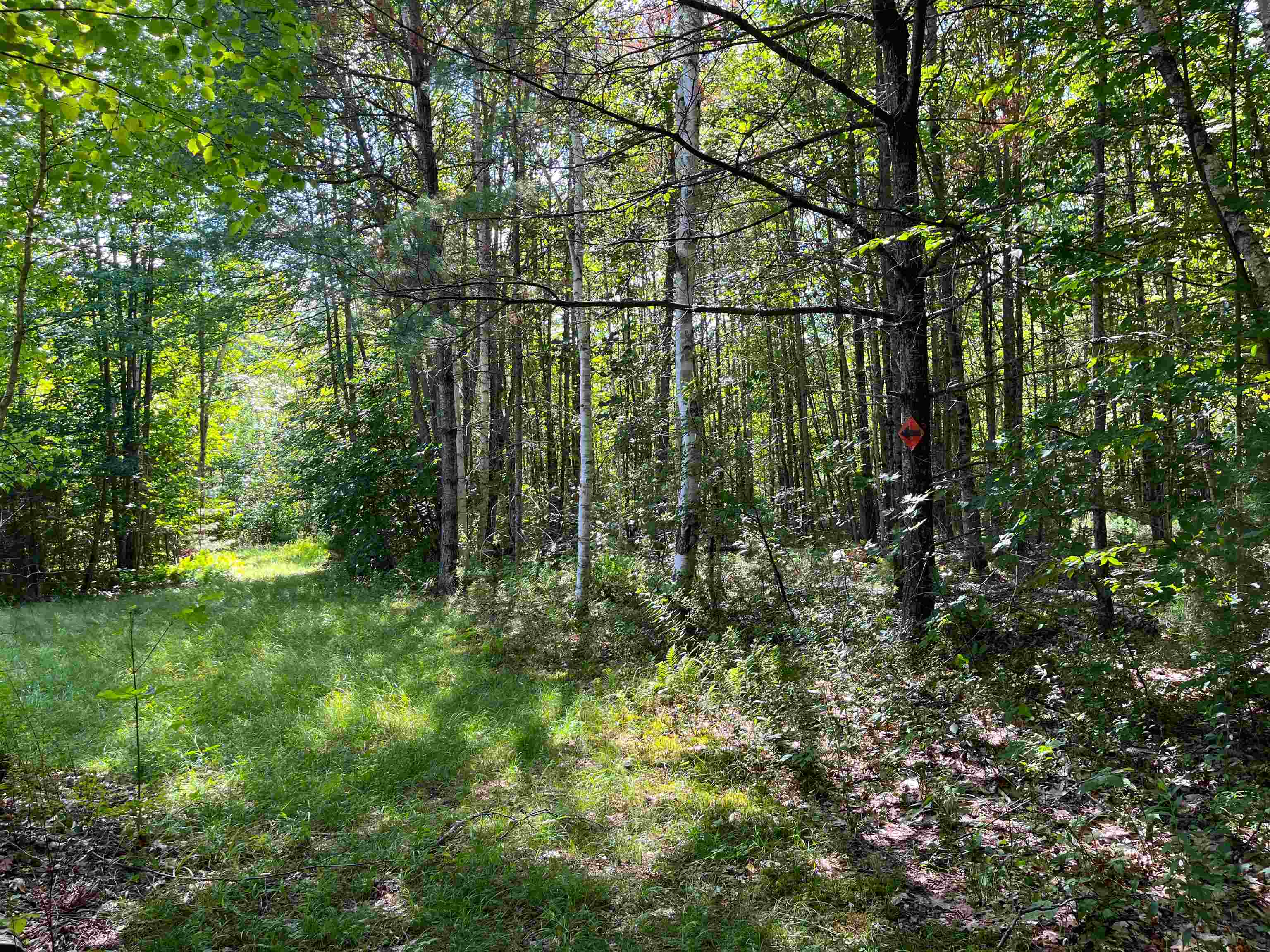 146 Lang Road Property Photo 38