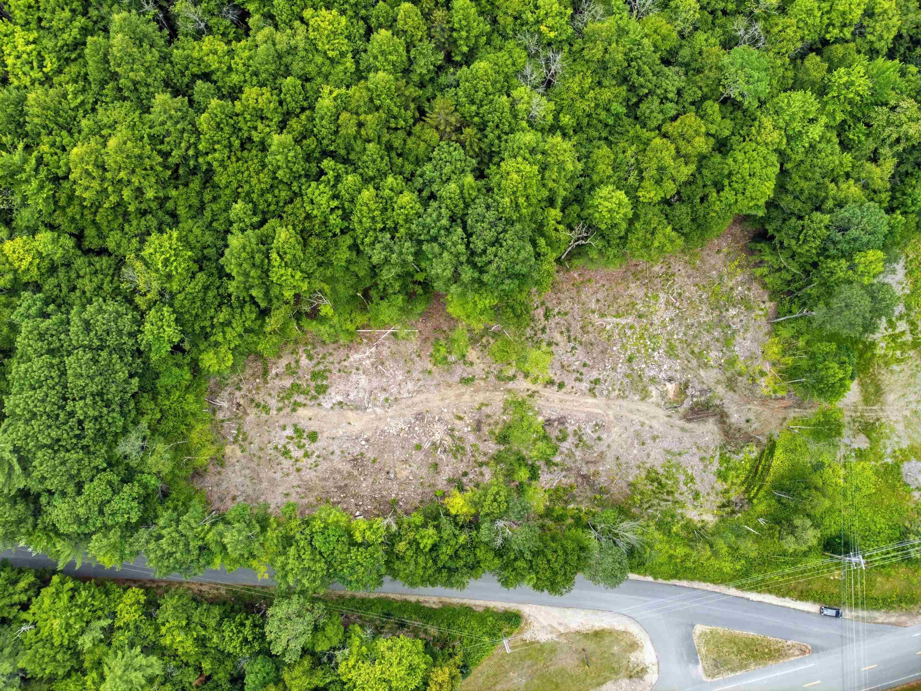 1072 State Route 49 Property Photo 4