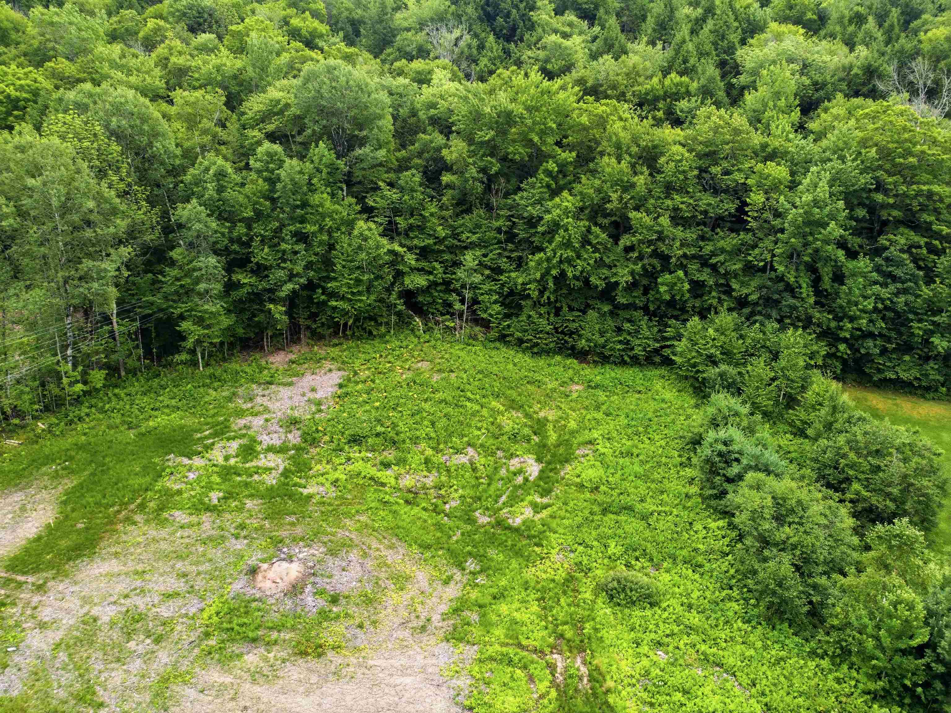 1072 State Route 49 Property Photo 5