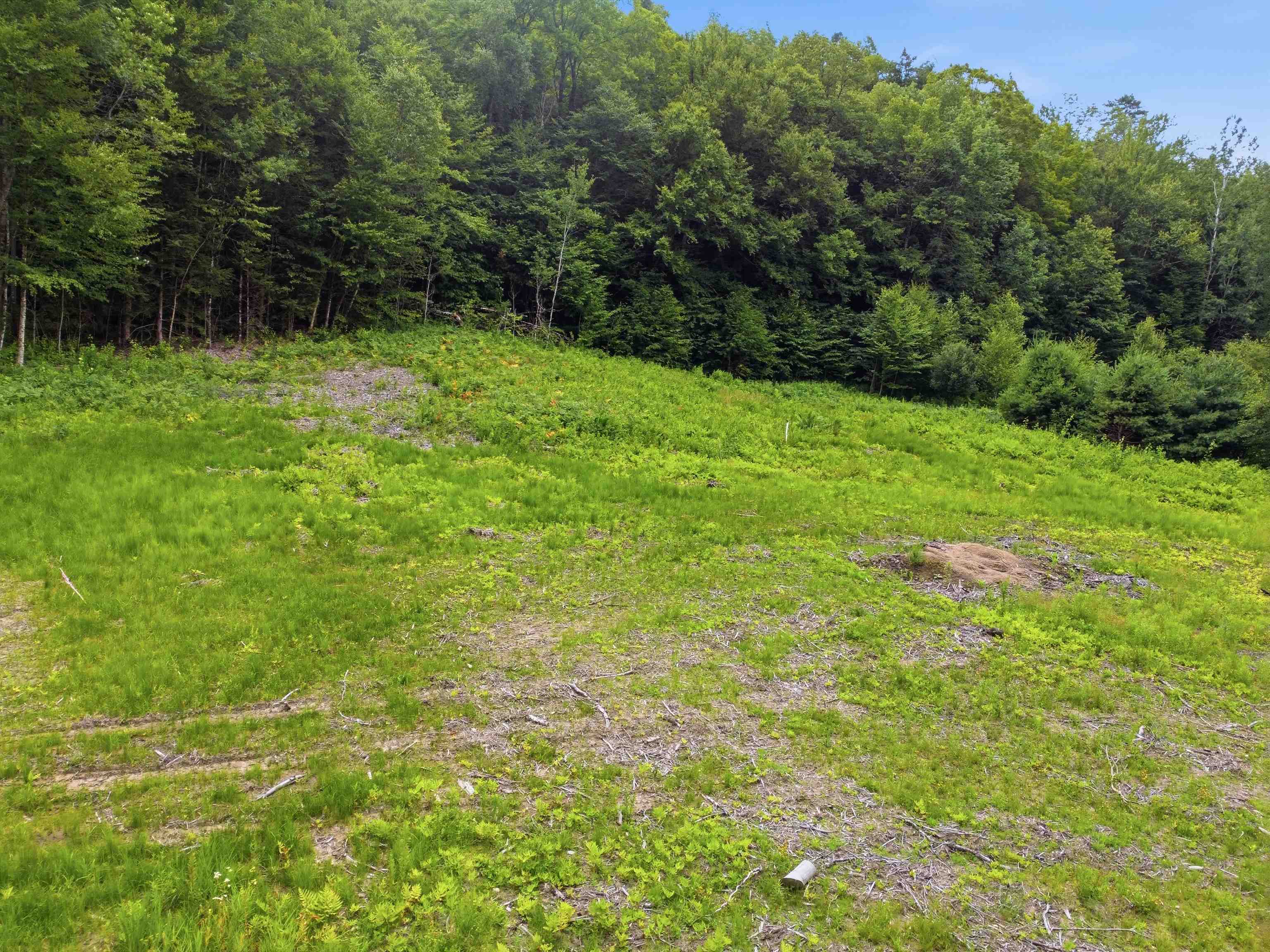 1072 State Route 49 Property Photo 8