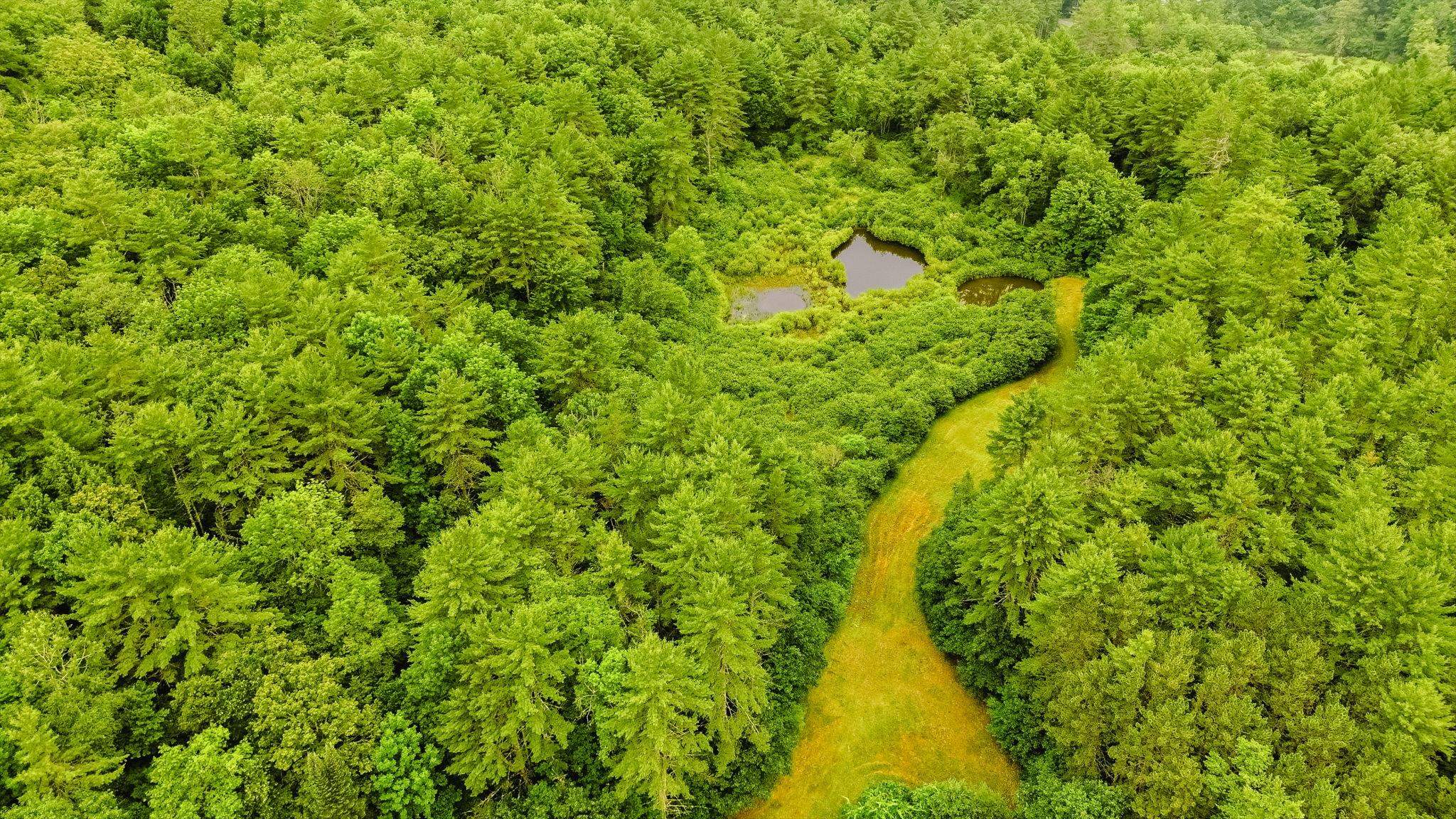 417 Stage Road Property Photo 43