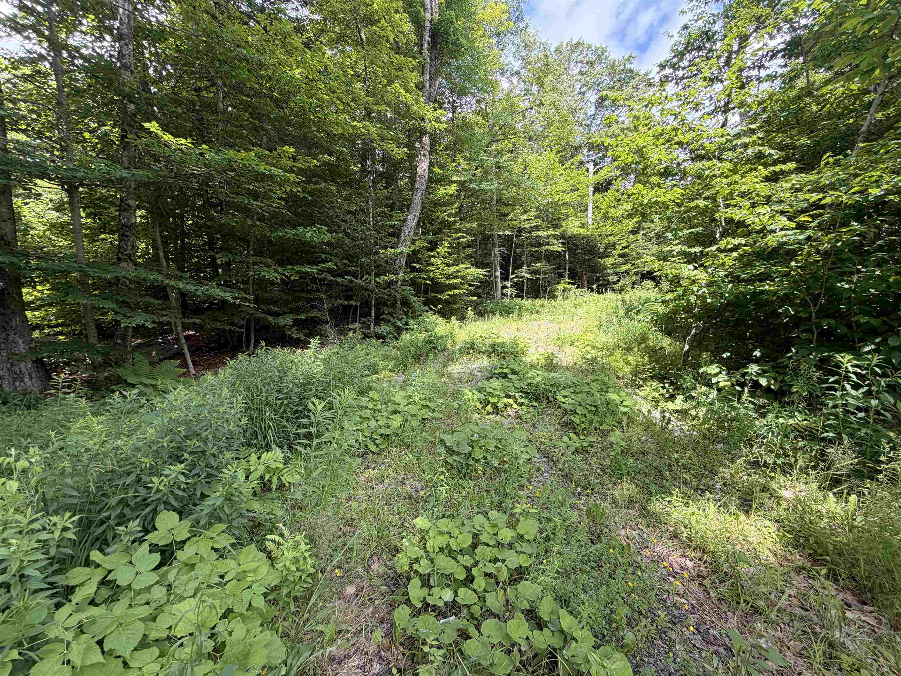 0 Route 100 Property Photo 1