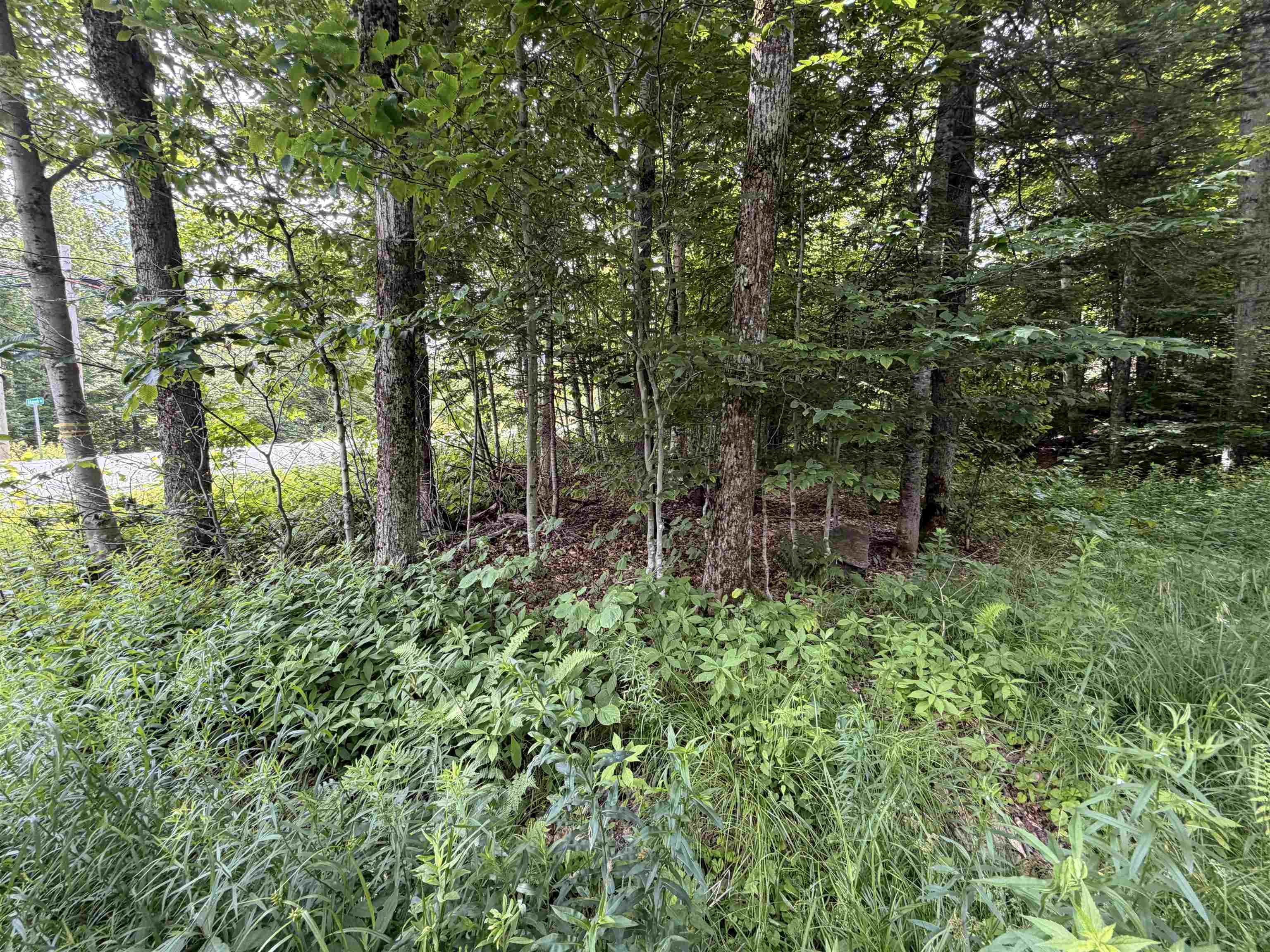 0 Route 100 Property Photo 2