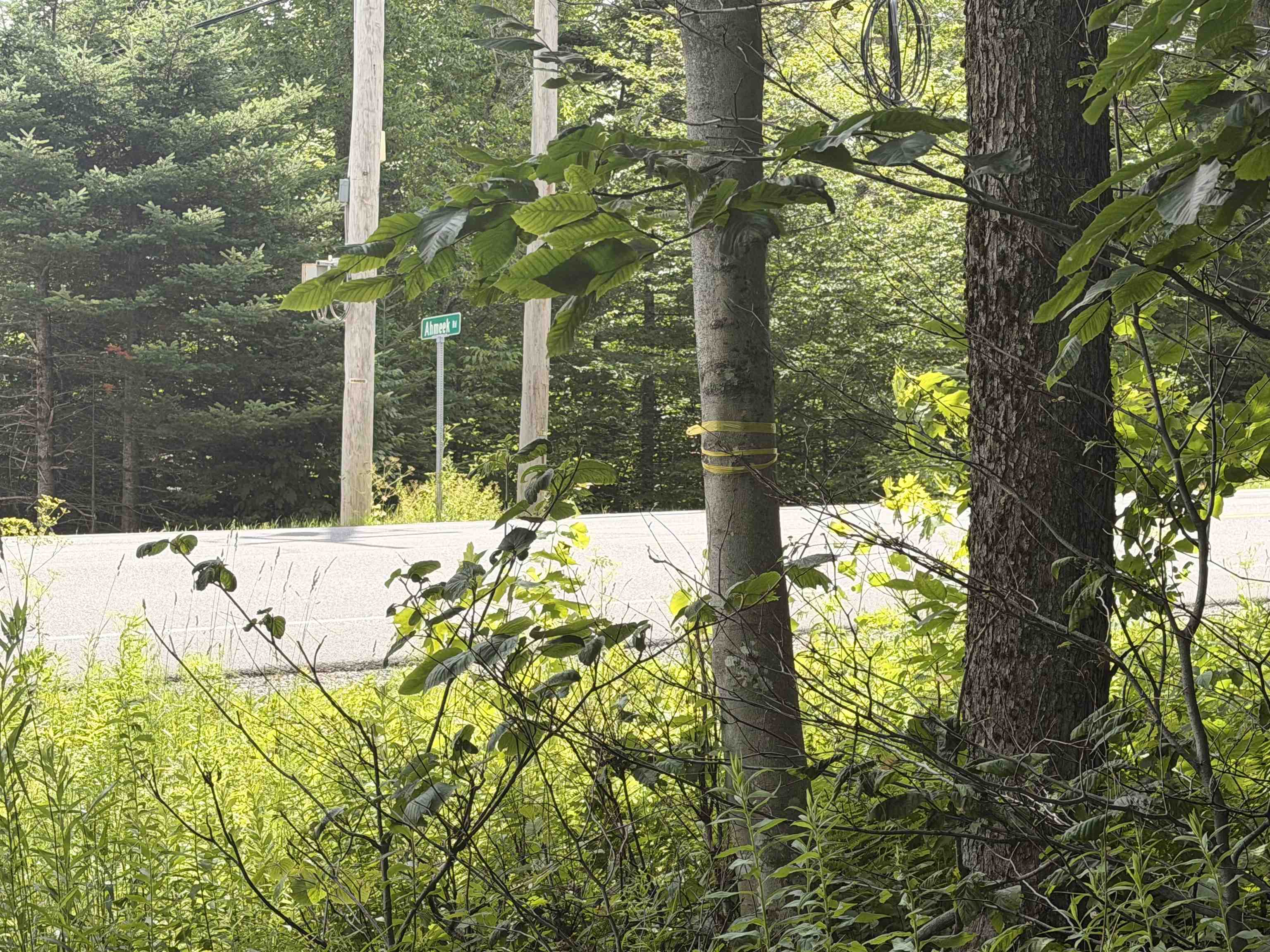 0 Route 100 Property Photo 3