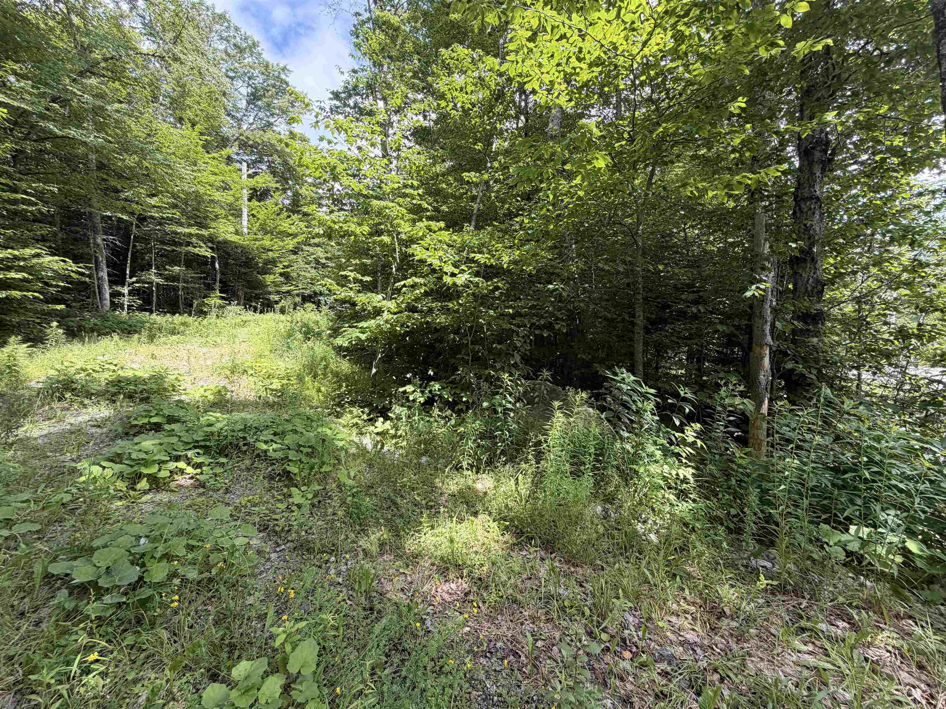 0 Route 100 Property Photo 4