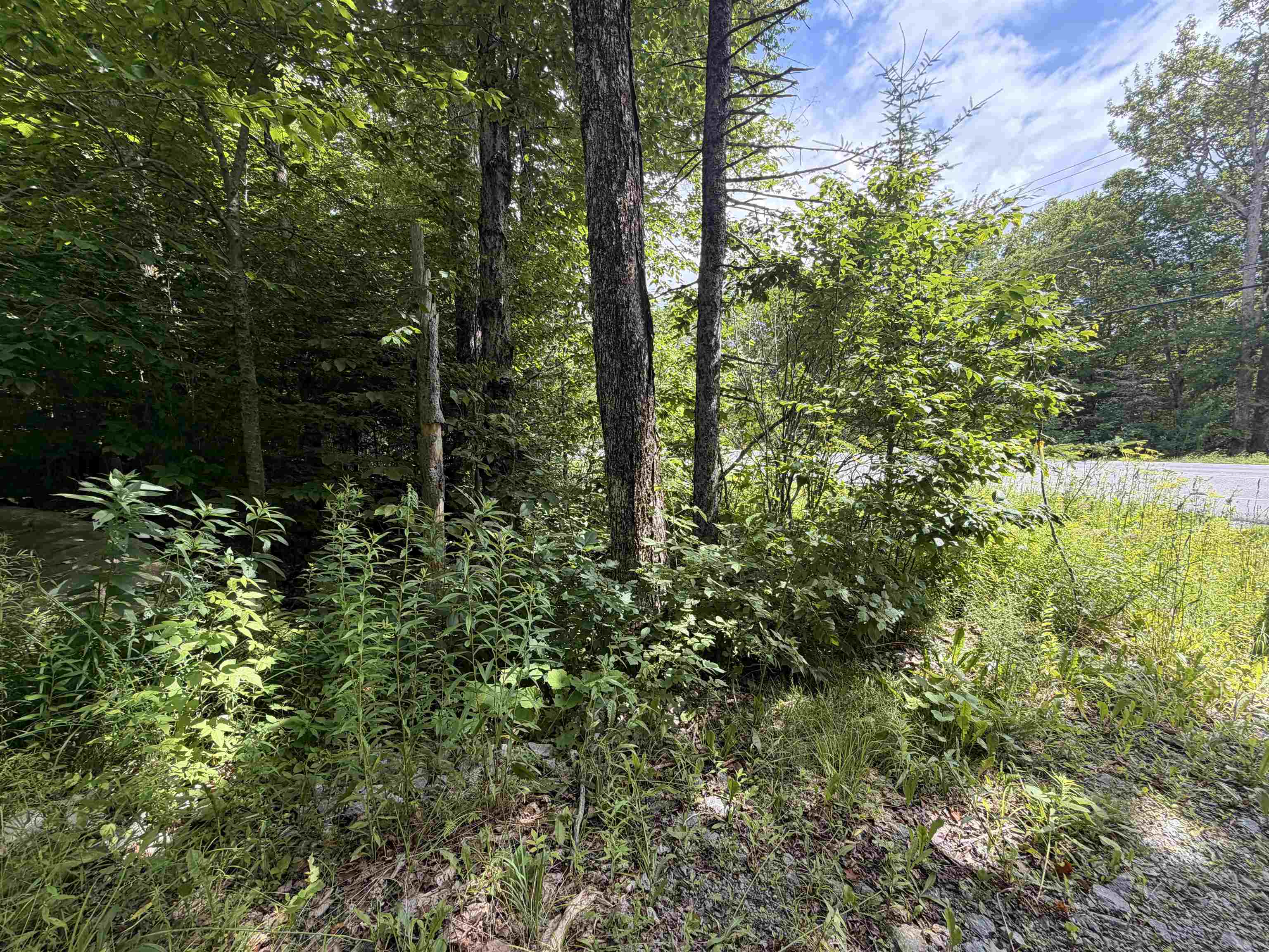 0 Route 100 Property Photo 5