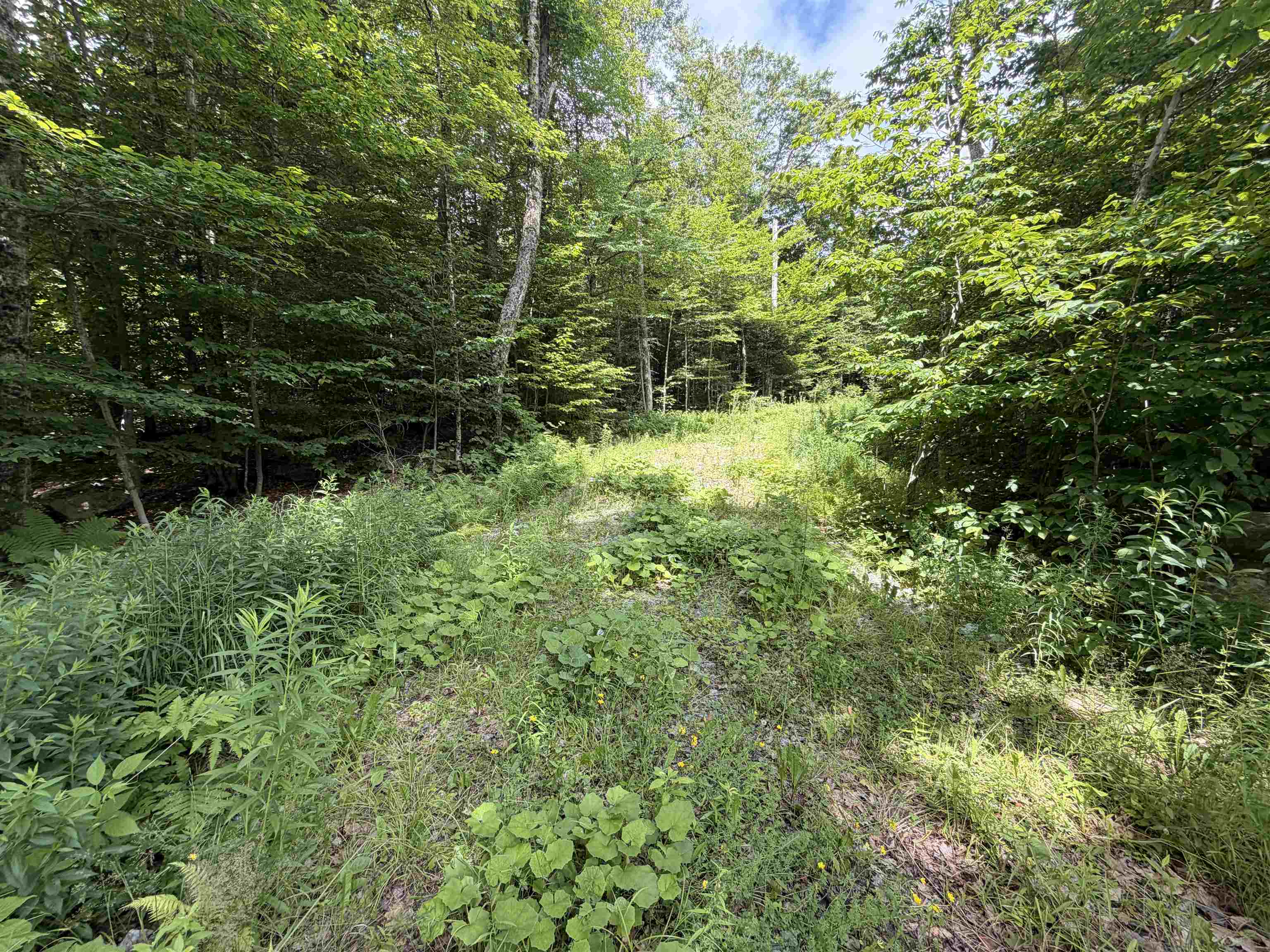 0 Route 100 Property Photo 6