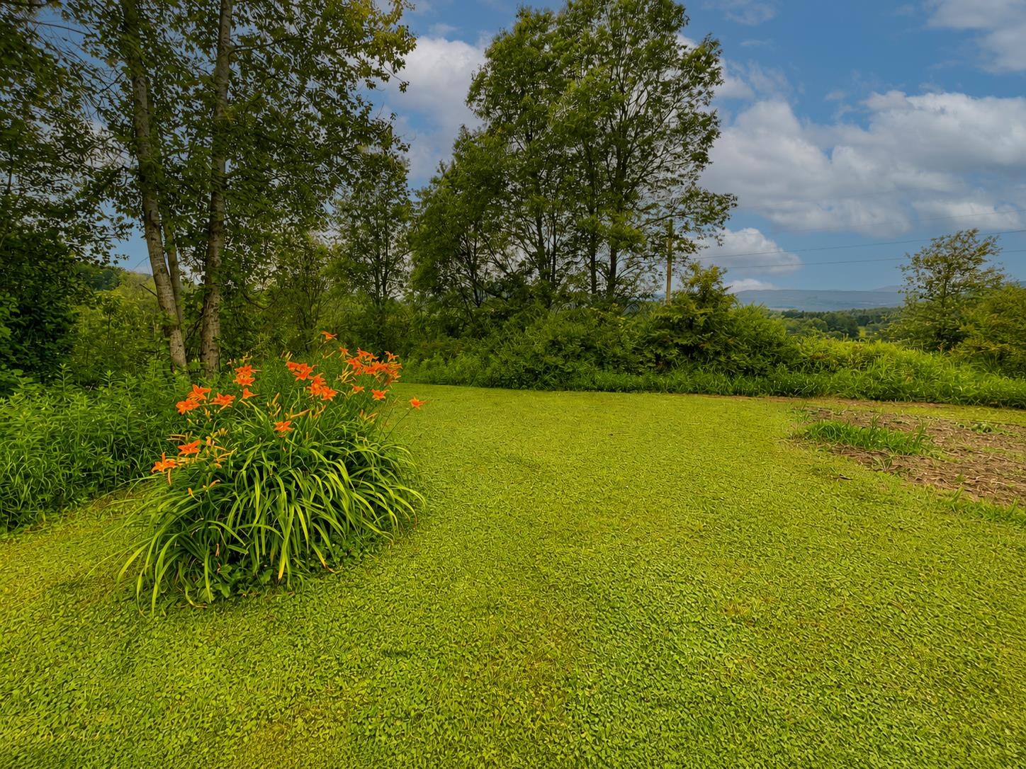 561 Sheldon Brook Road Property Photo 36