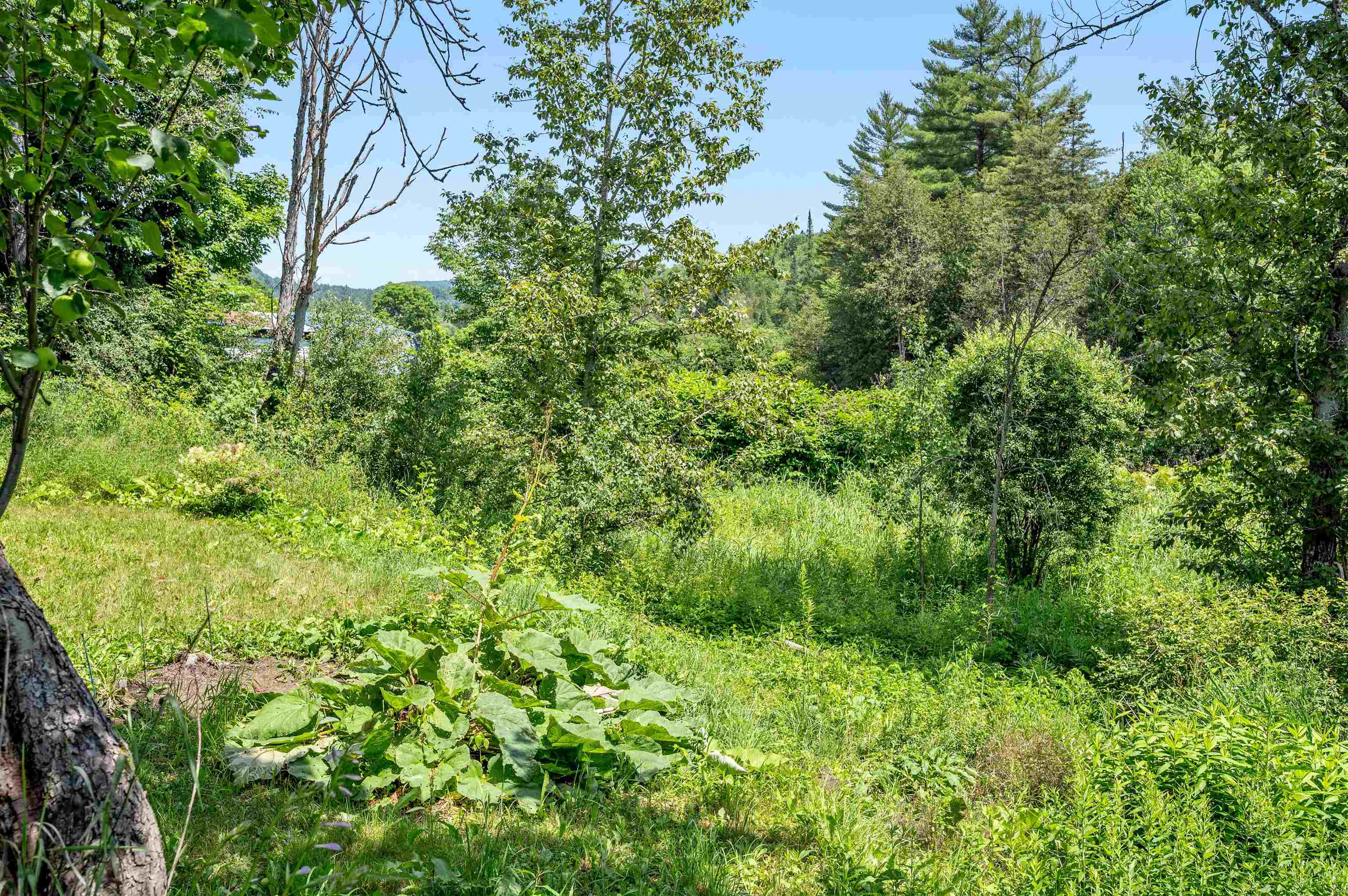 1706 Vt Route 215 South Property Photo 44
