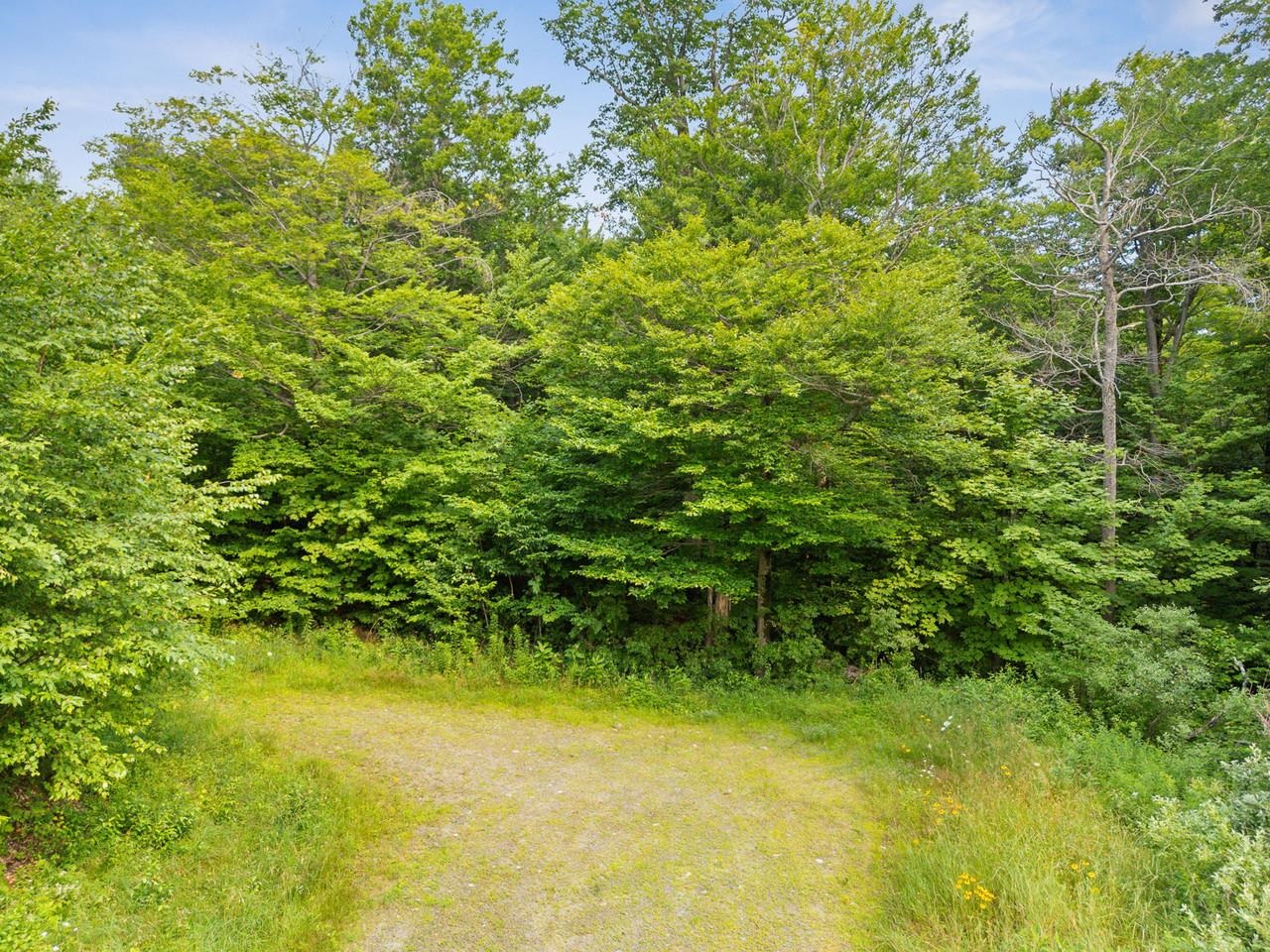 178 Colony Road Property Photo 12