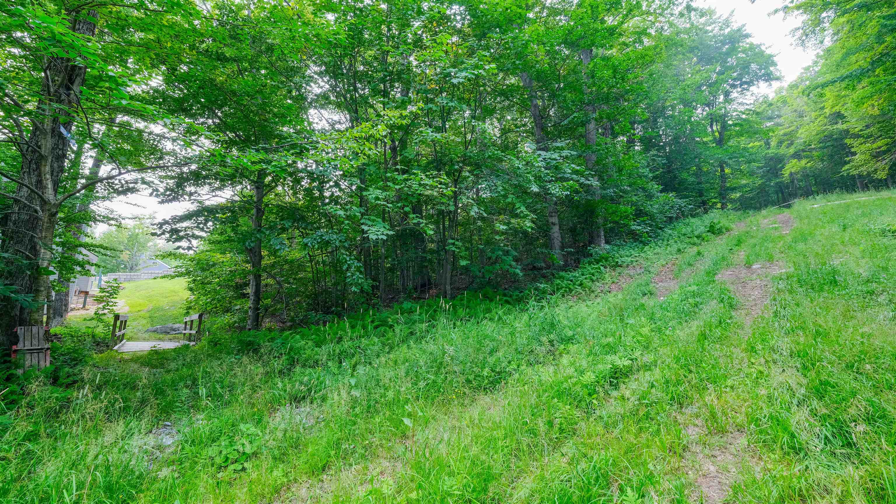 62 Okemo Trailside Extension Property Photo 44