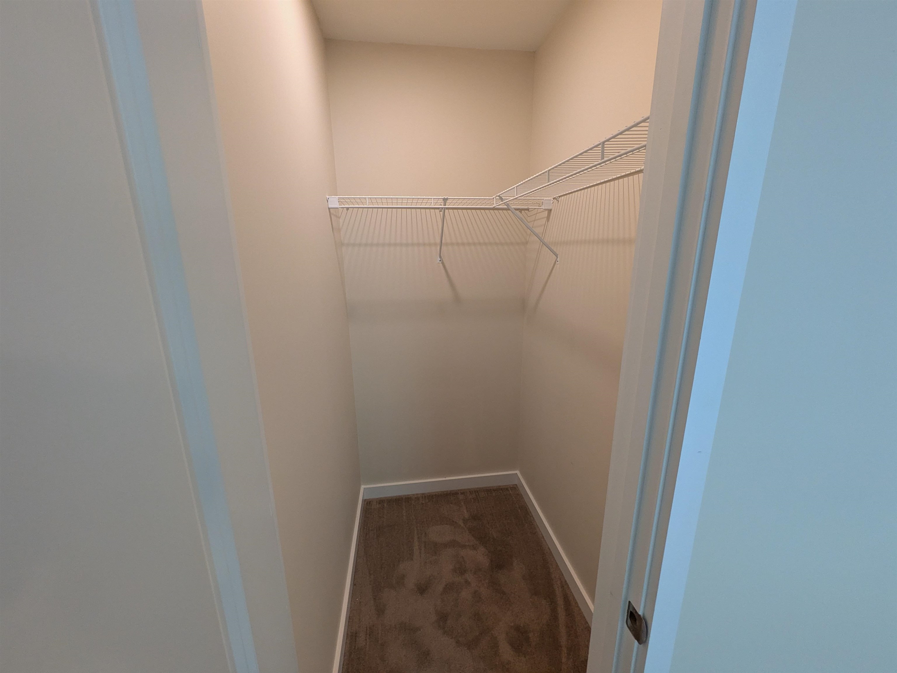 75 Ivan Drive Property Photo 28