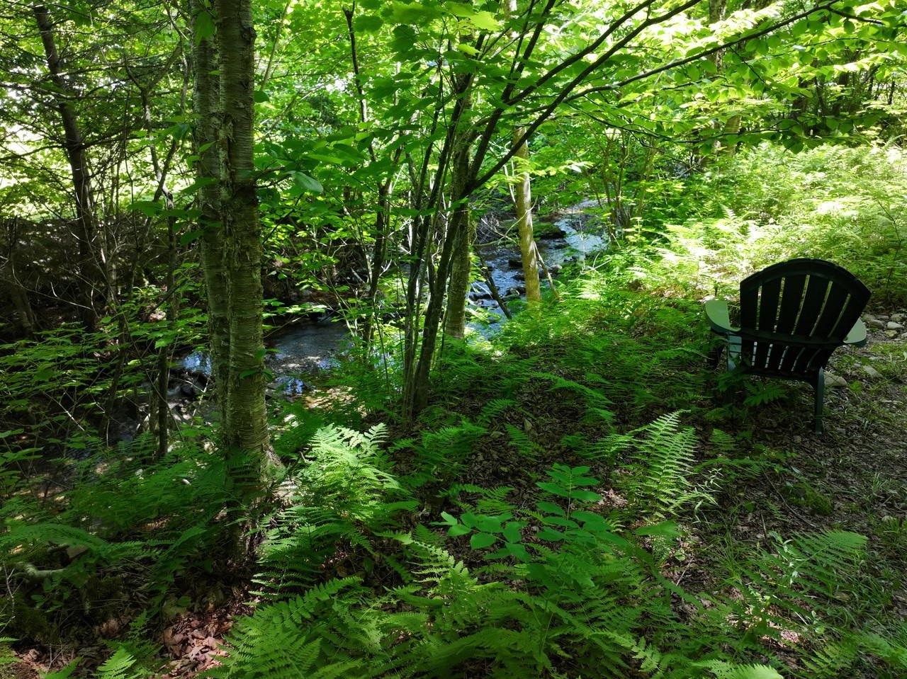 9562 Main Road Property Photo 25