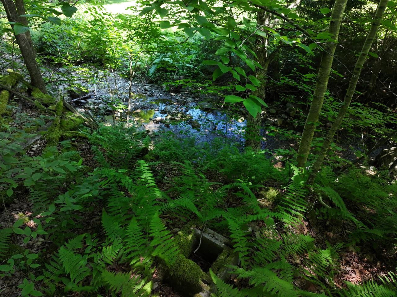 9562 Main Road Property Photo 26