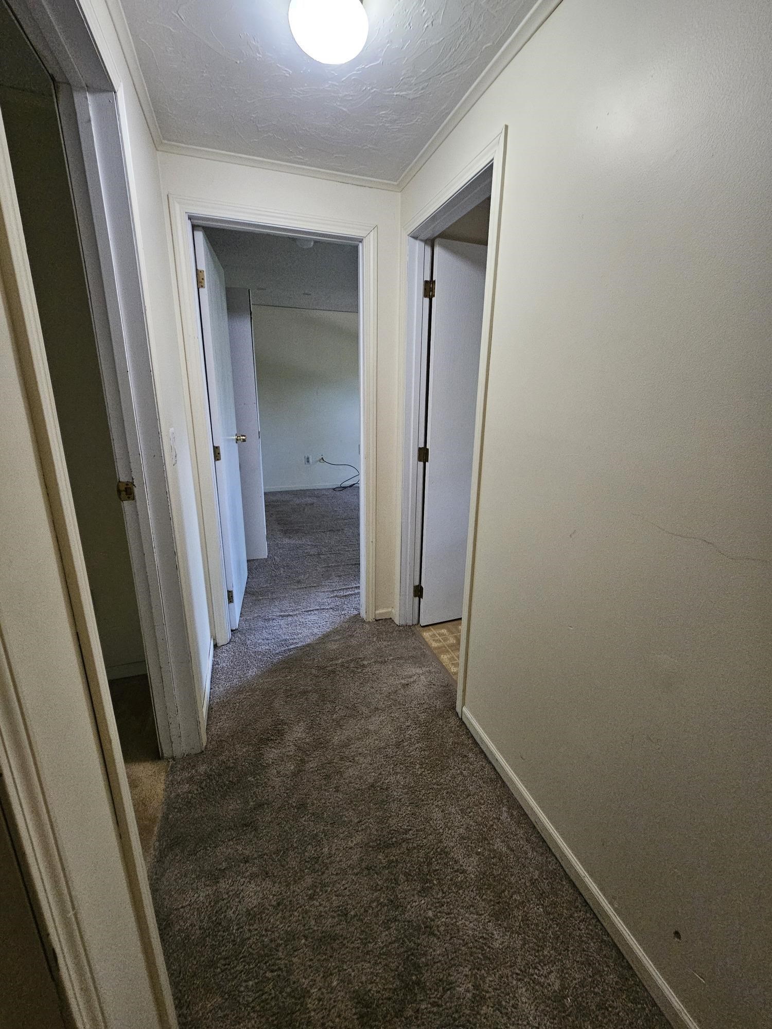 94 Wason Road Property Photo 18