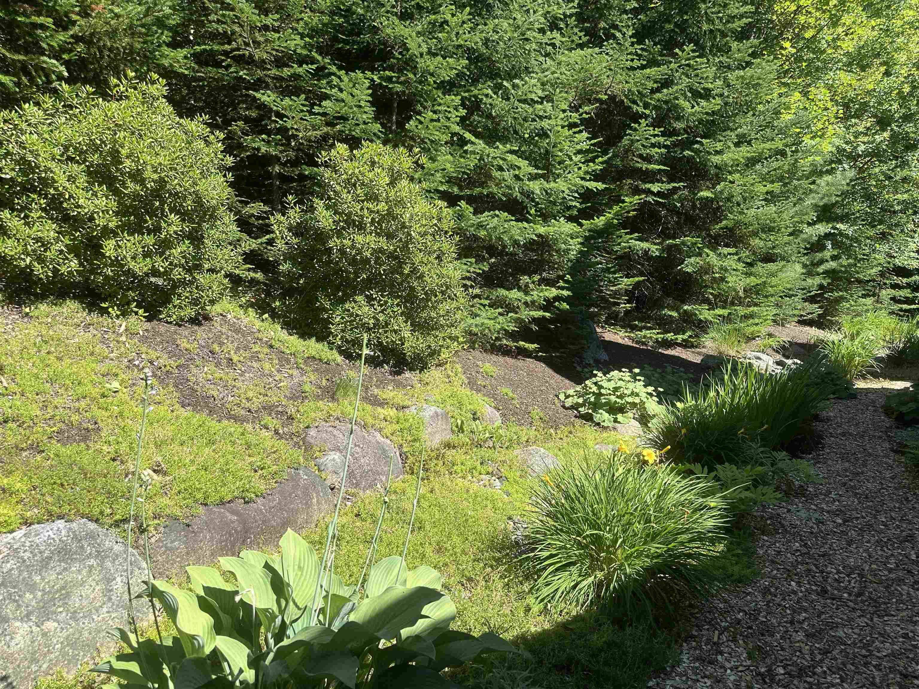 42 Cascade Ridge Road Property Photo 46