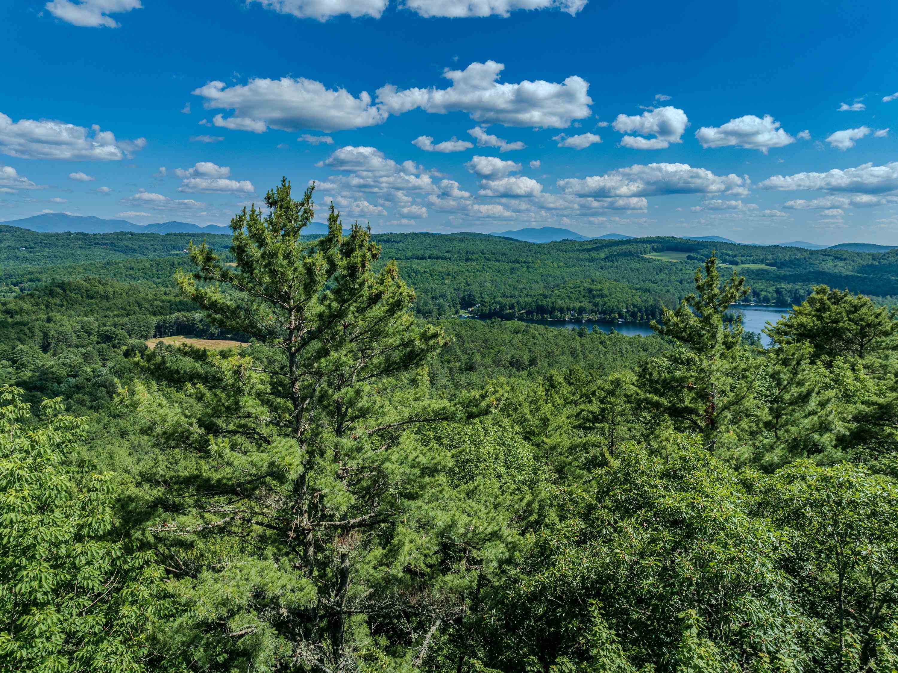 0 Old Partridge Lake Road Property Photo 1
