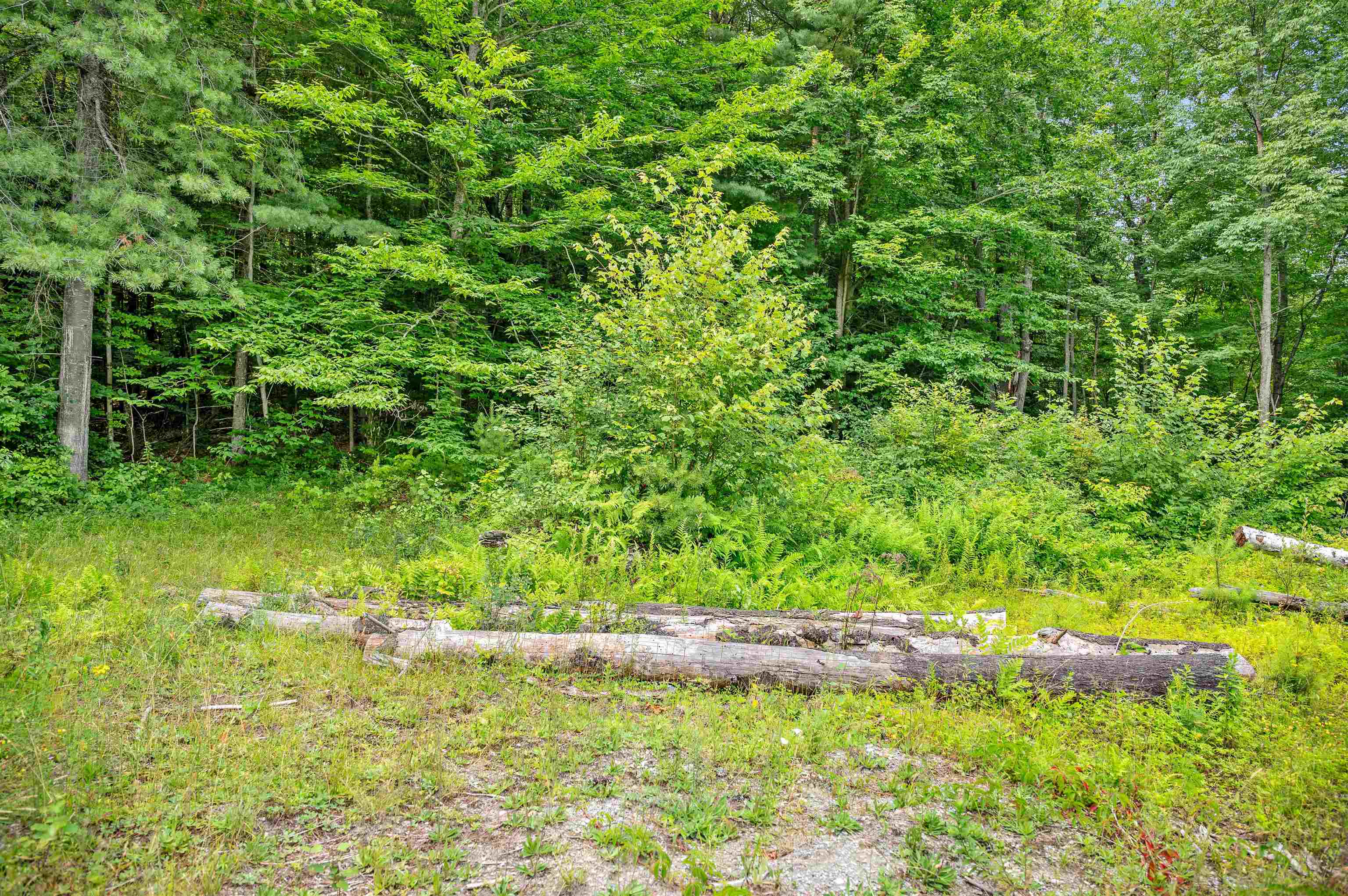 285 Chandler Road Property Photo 8