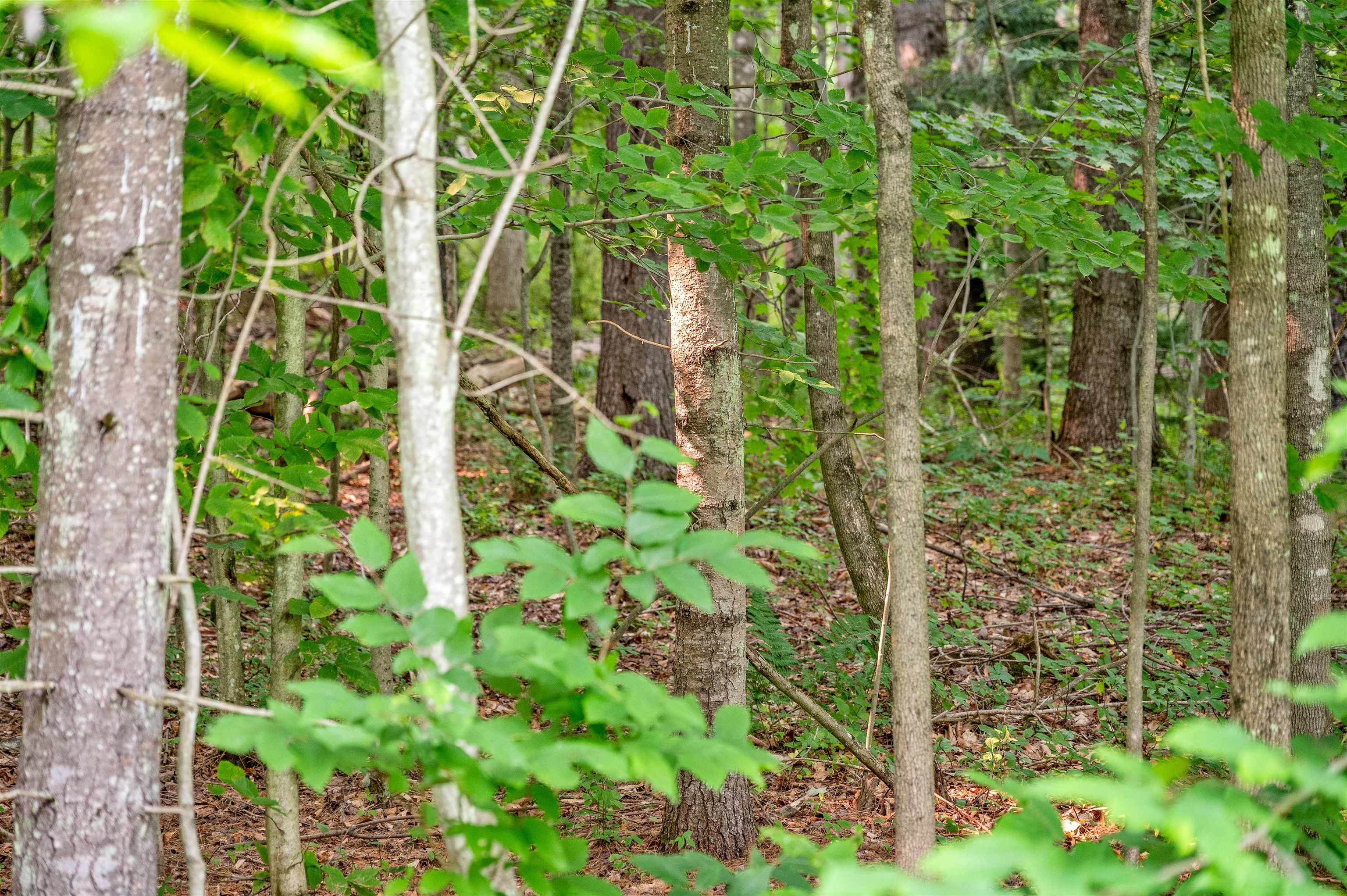 285 Chandler Road Property Photo 14