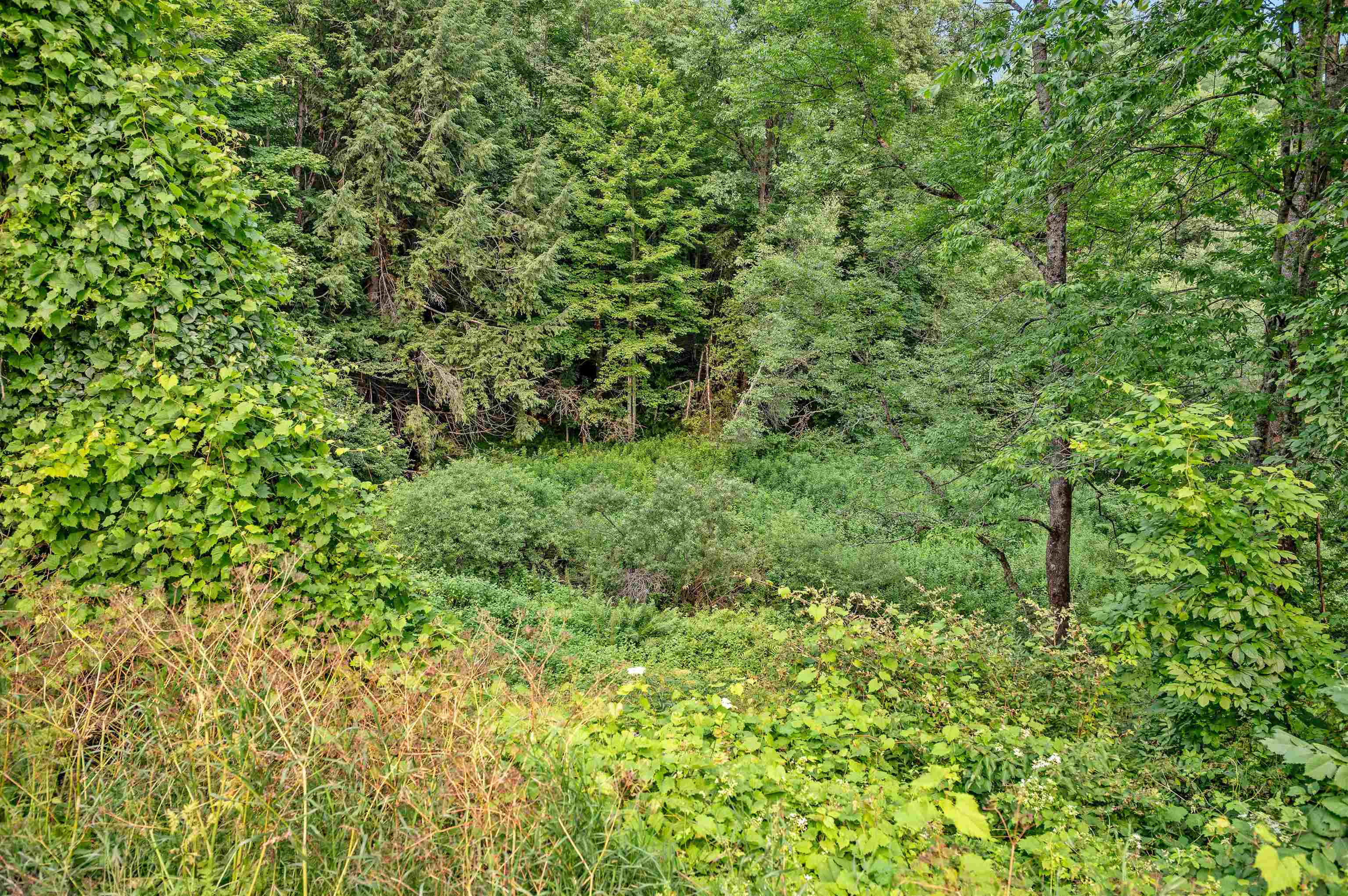 285 Chandler Road Property Photo 15