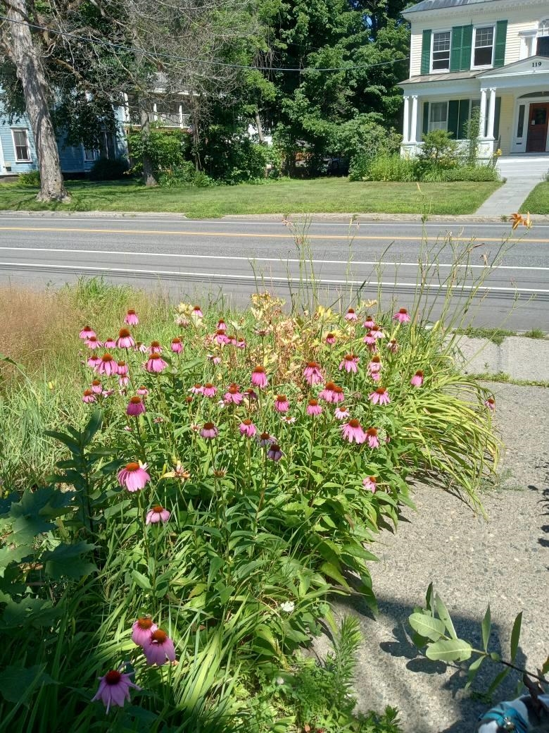 120 Western Avenue Property Photo 41