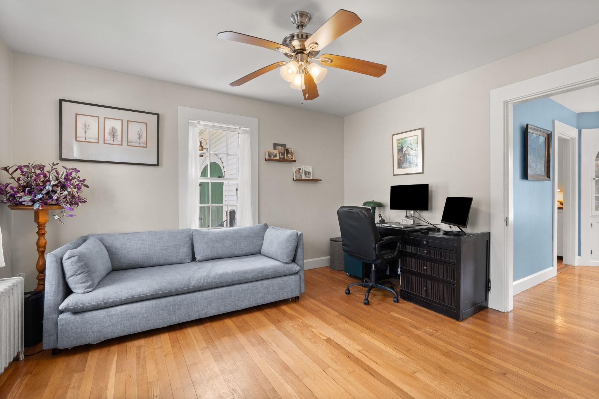 16 Brookline Street Property Photo 24