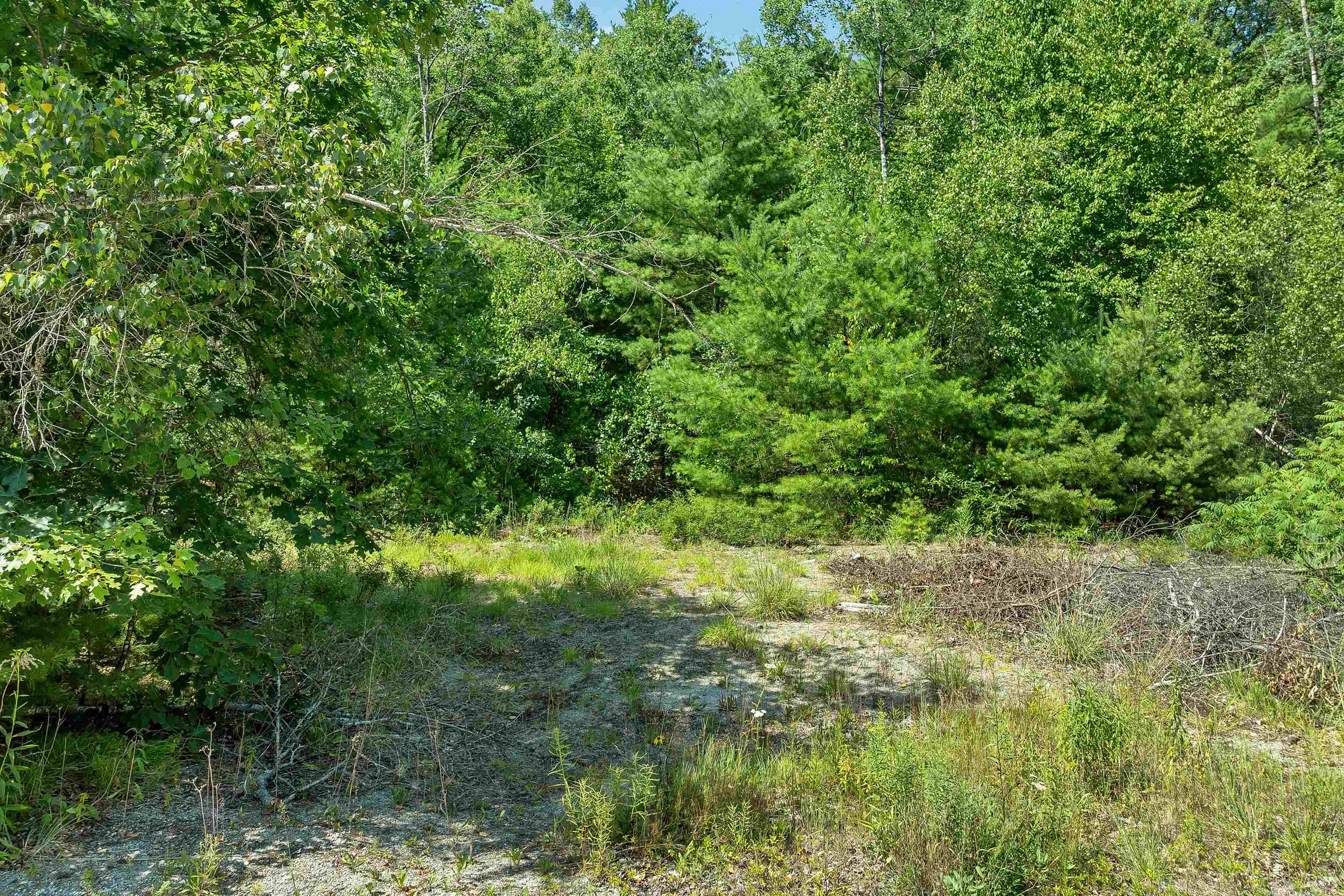 66 Hartshorn Lane Property Photo 17