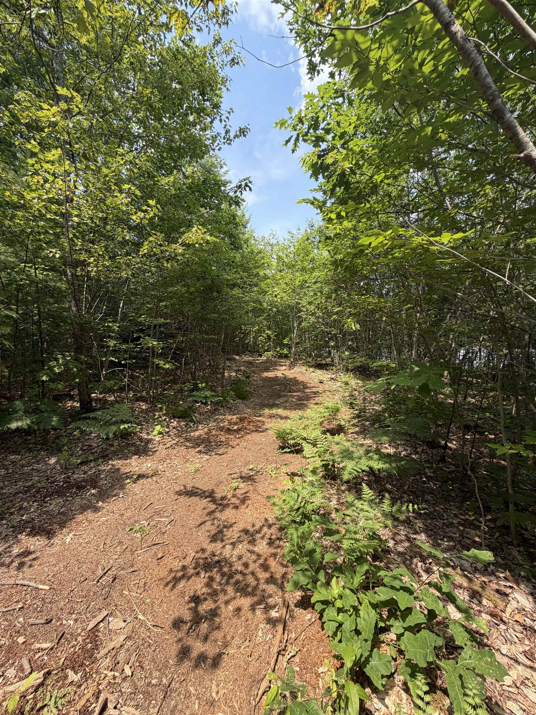 Map 206 Lot 28 Whittier Road Property Photo 1