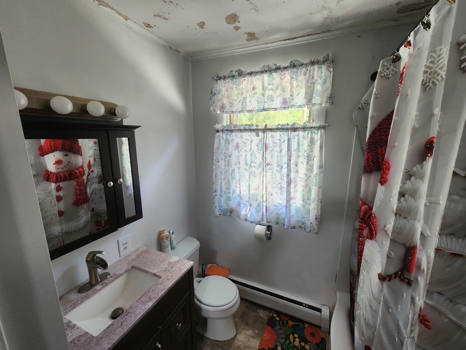 1059 Rte 15 E Property Photo 10