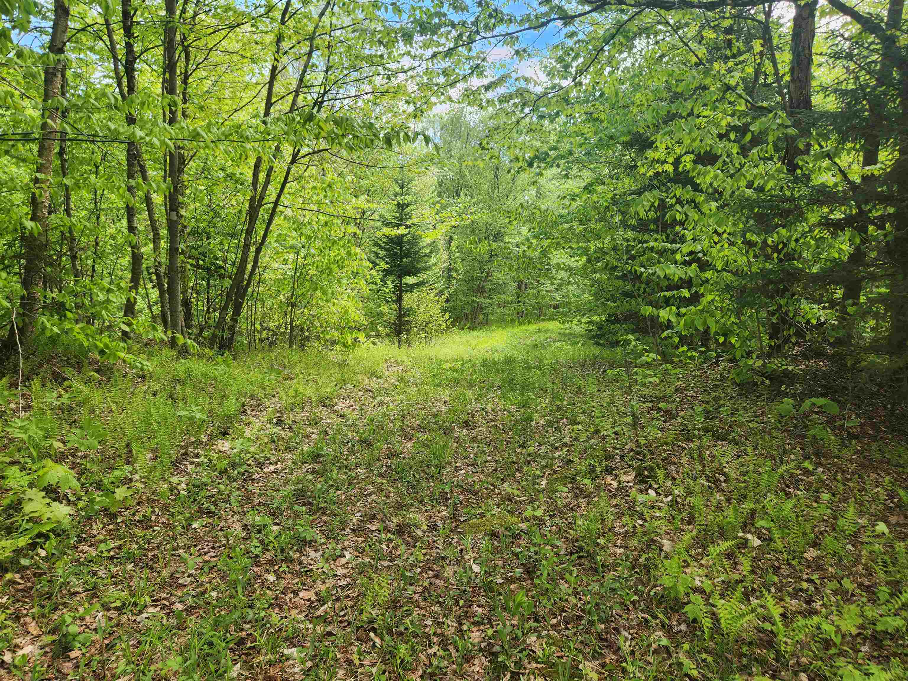 805 Cobblestone Trail Property Photo 10