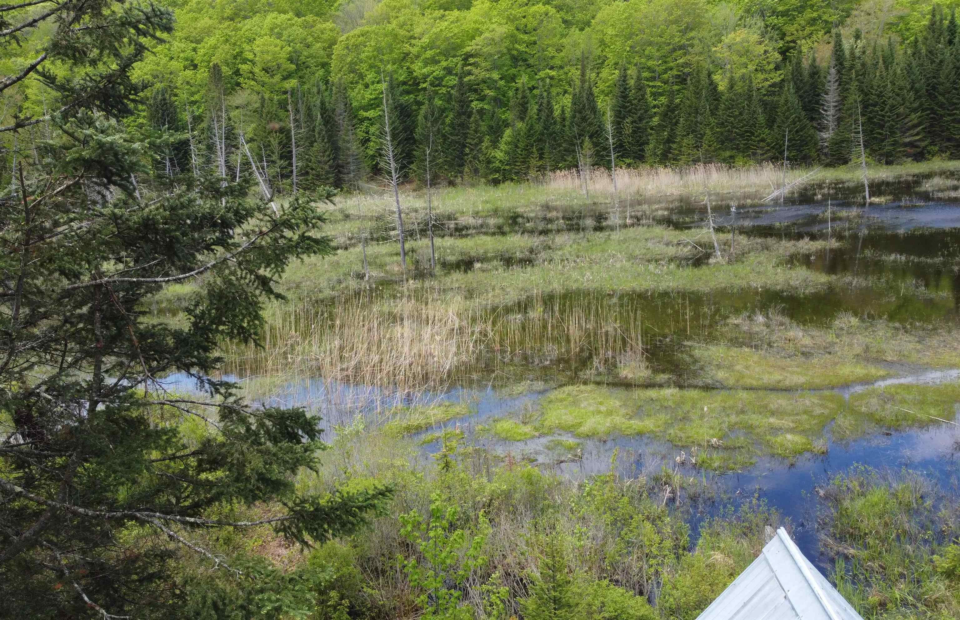 805 Cobblestone Trail Property Photo 14