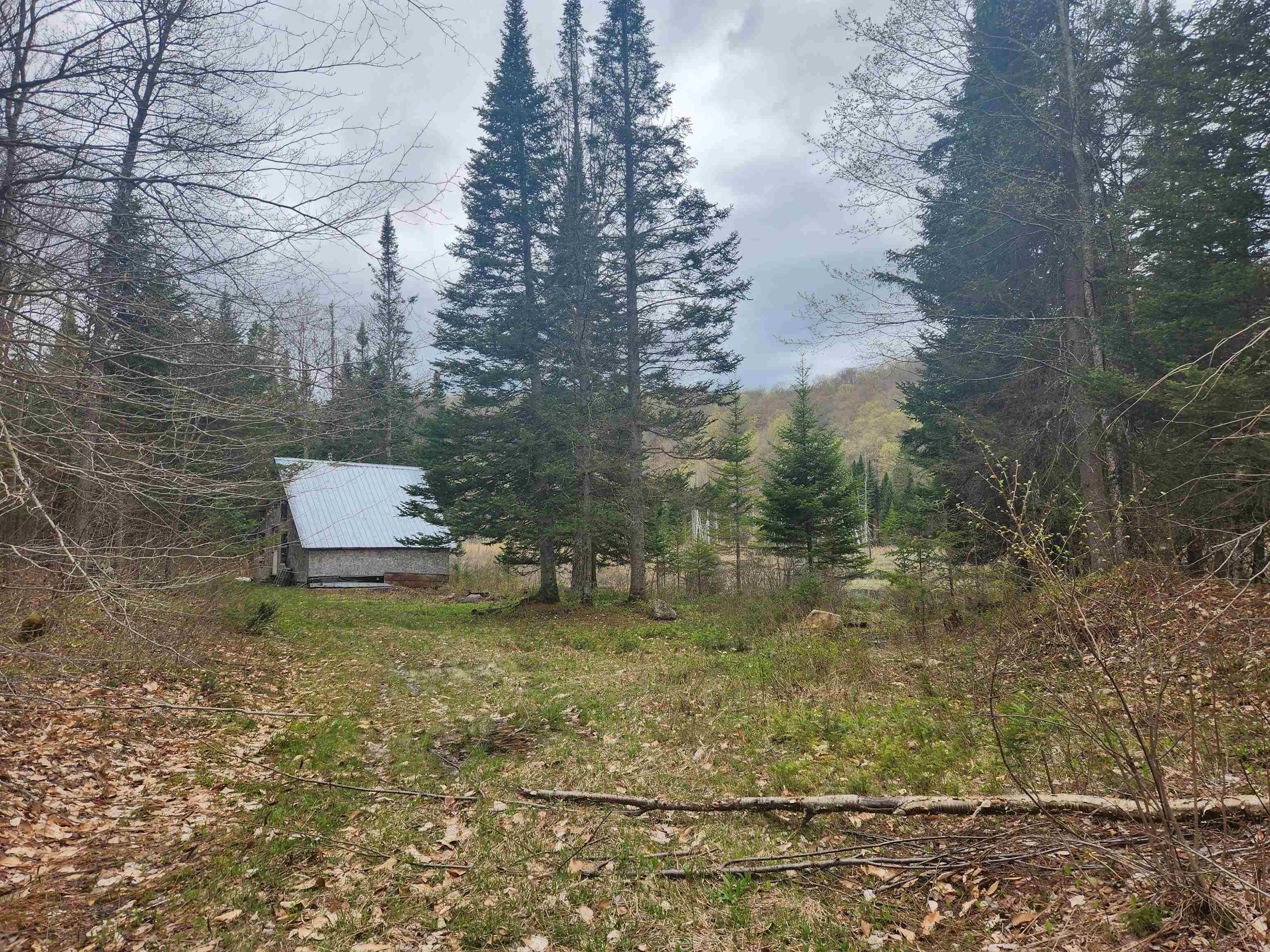 805 Cobblestone Trail Property Photo 17