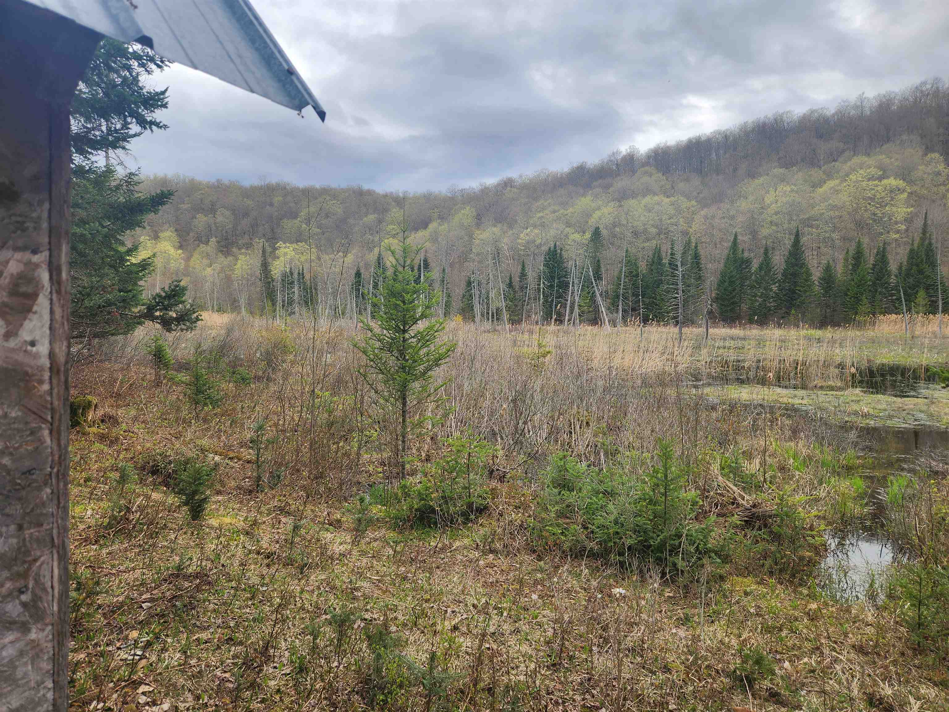 805 Cobblestone Trail Property Photo 28