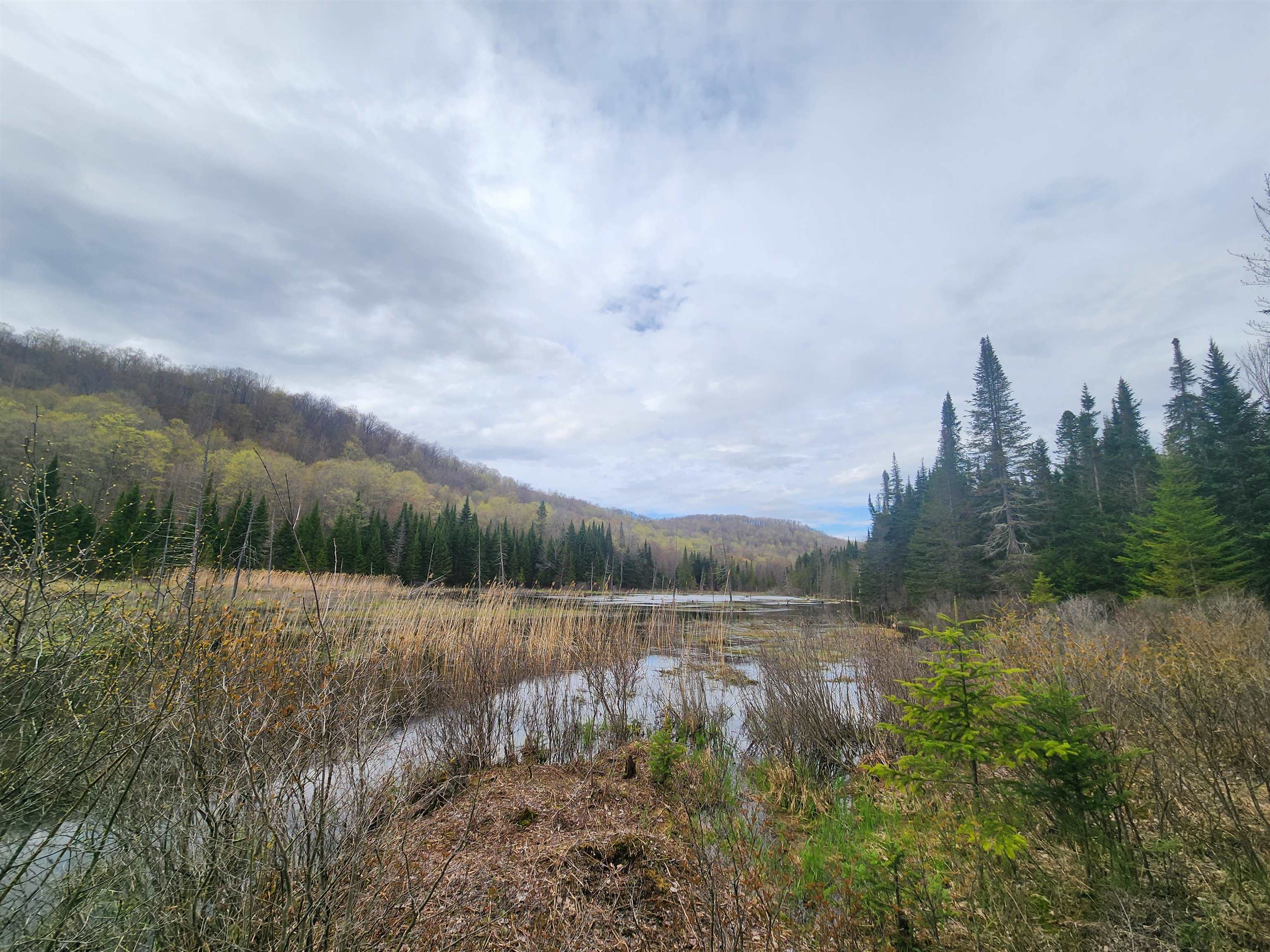 805 Cobblestone Trail Property Photo 36