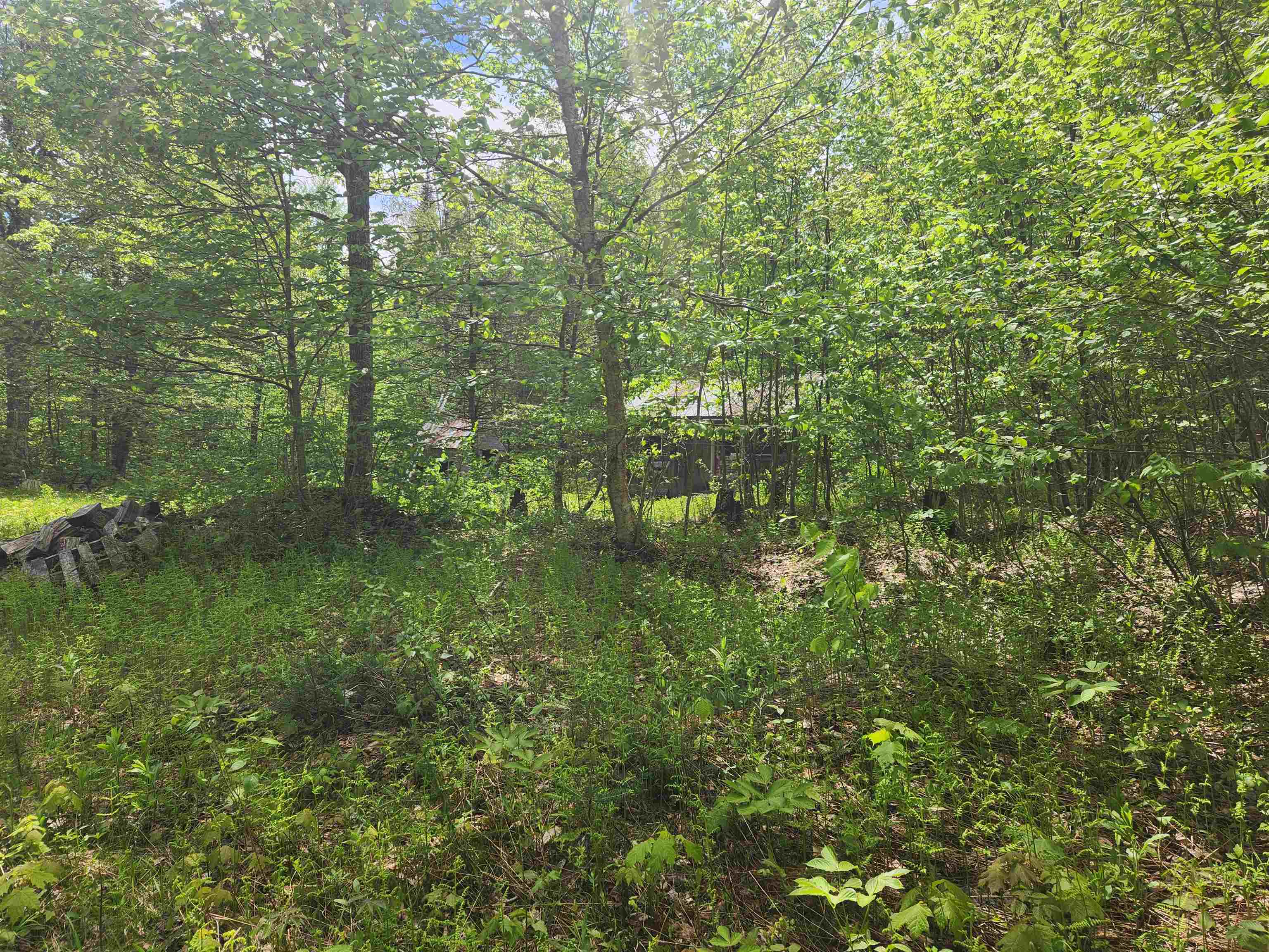 805 Cobblestone Trail Property Photo 38