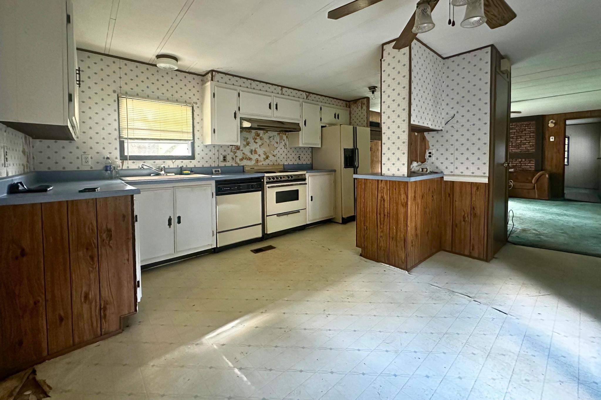 20 Kings Row Property Photo 4