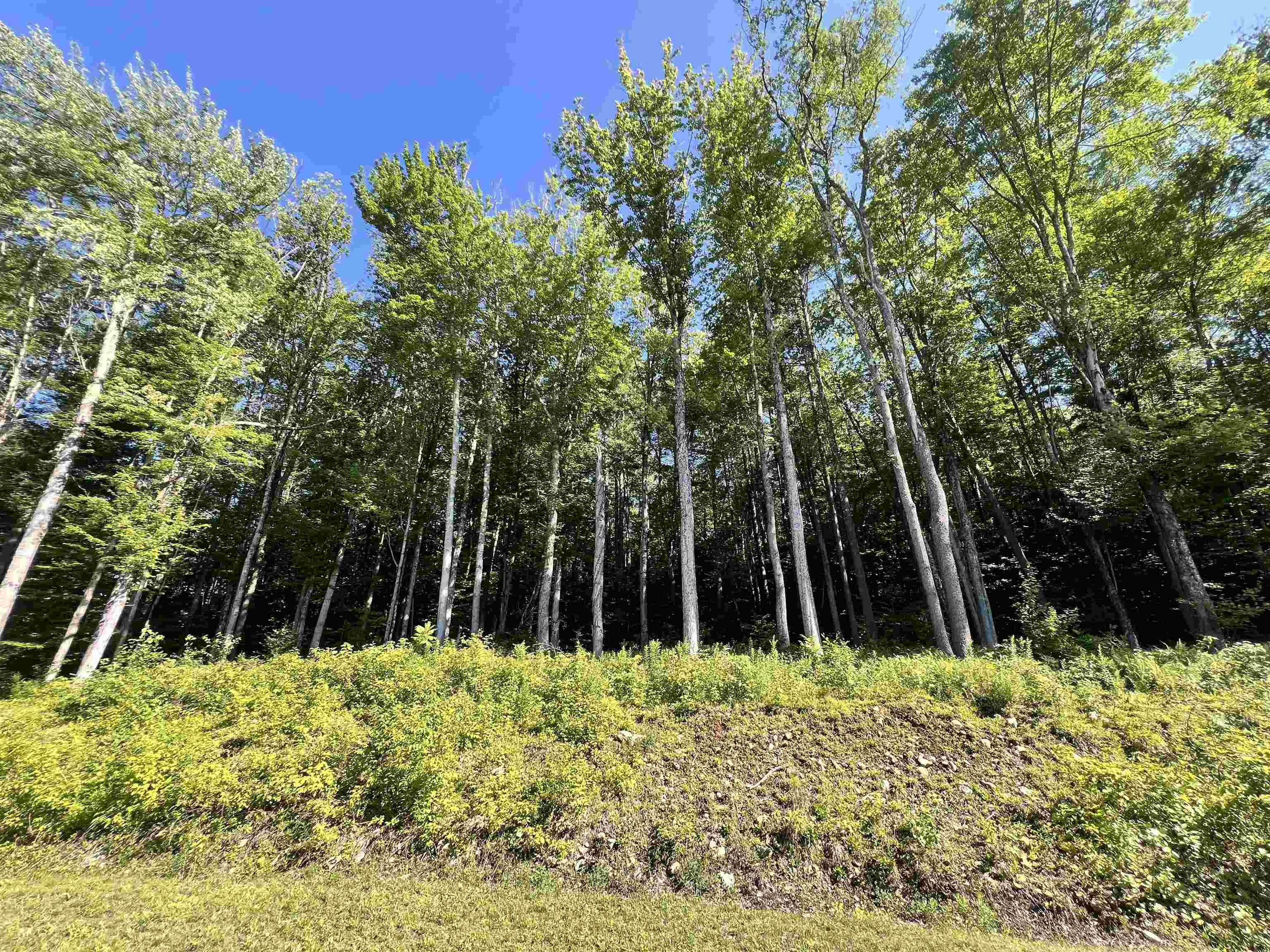 791 Journey End Property Photo 36