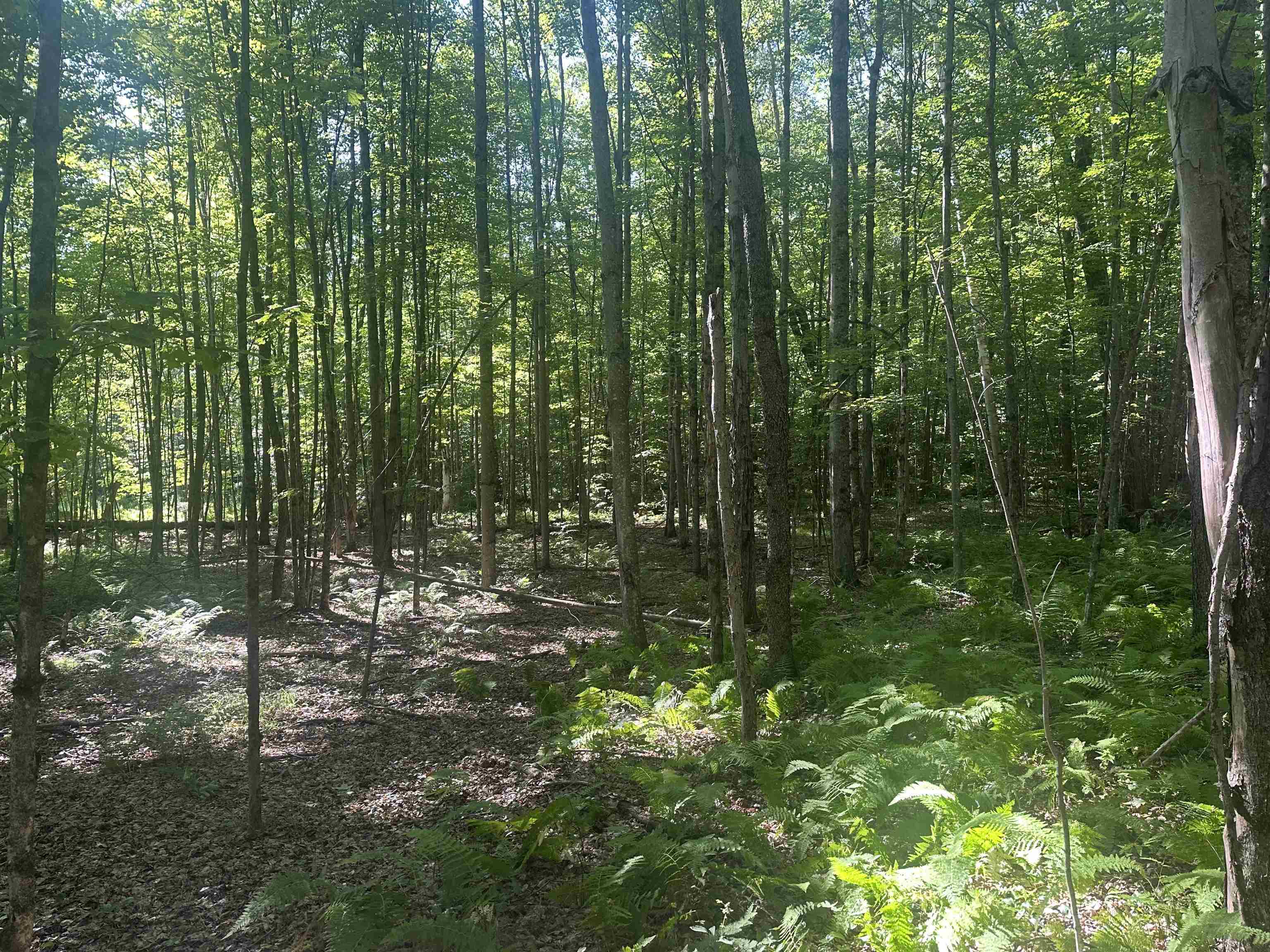 791 Journey End Property Photo 39