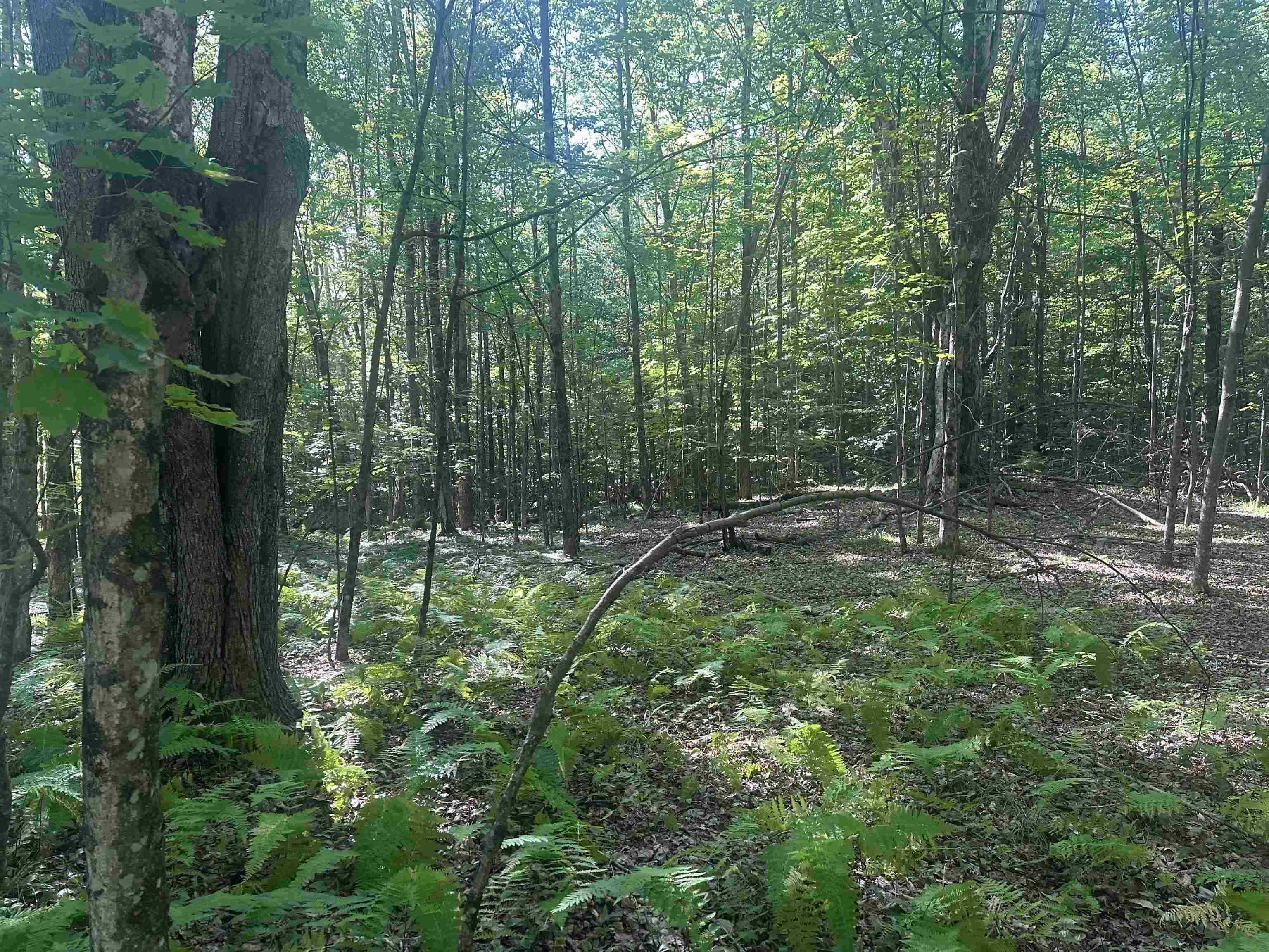 791 Journey End Property Photo 43