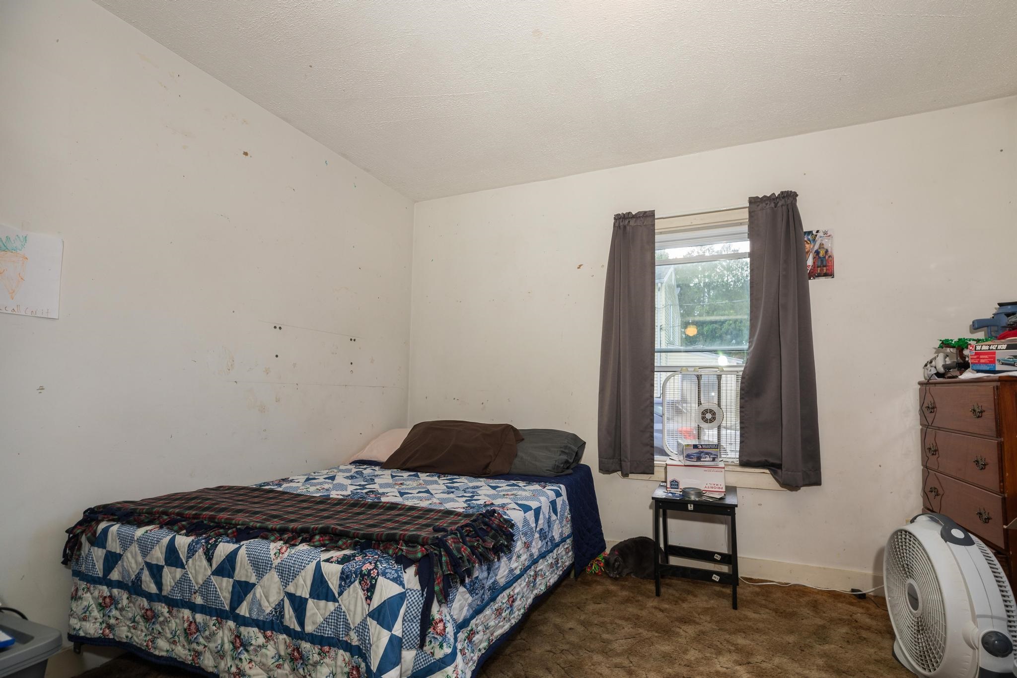 11 Cleveland Street Property Photo 37