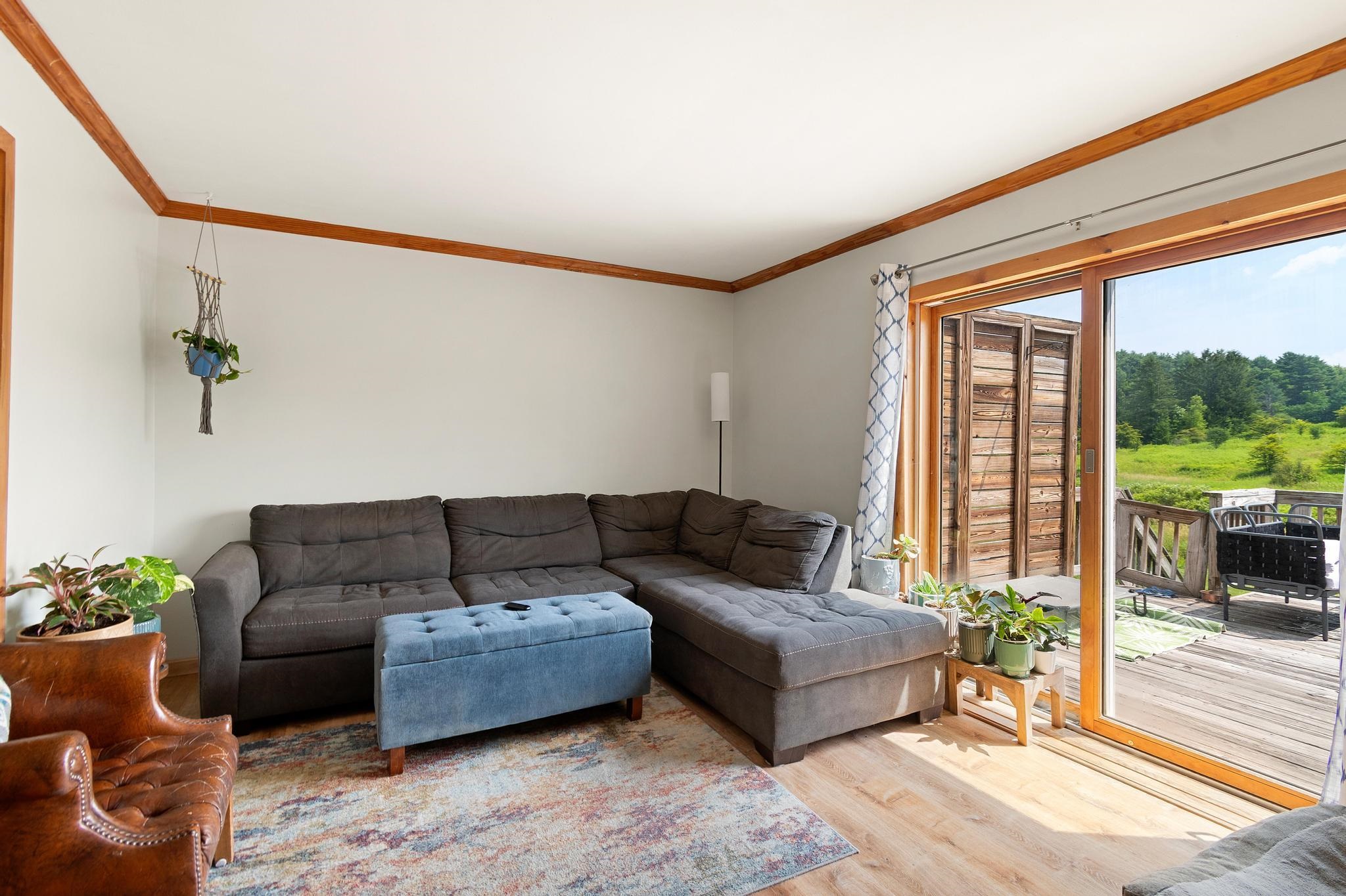 38 Hawley Road Property Photo 4