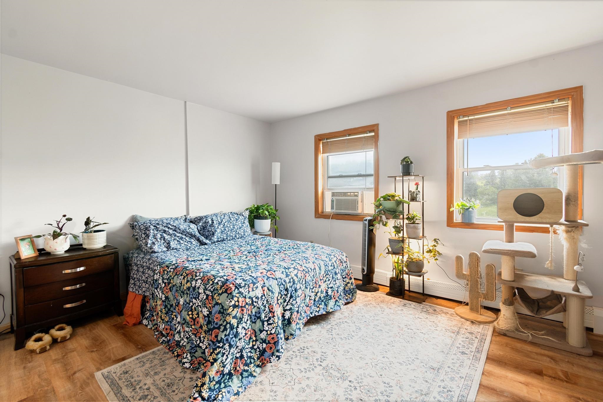 38 Hawley Road Property Photo 19