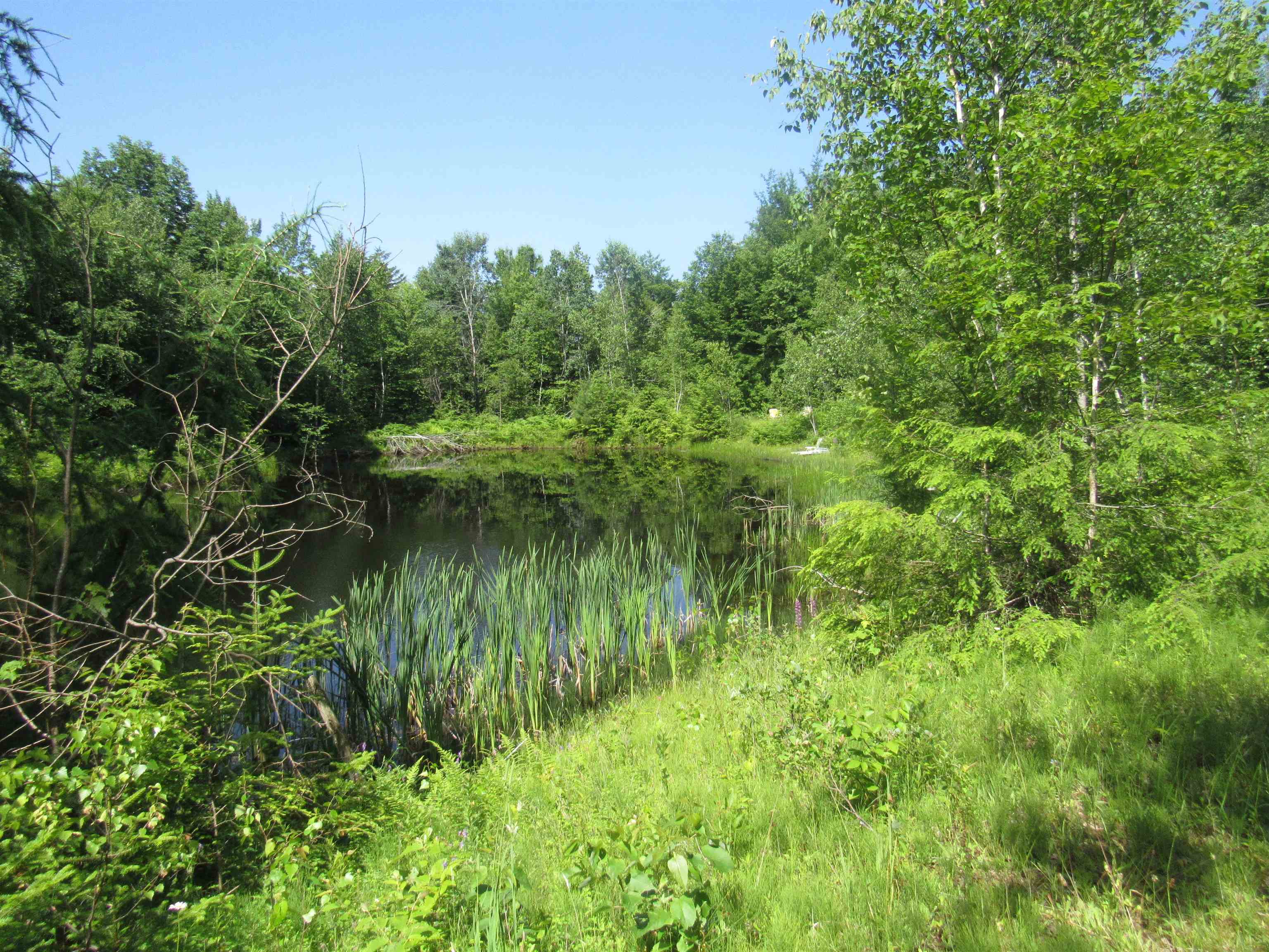 1239 Baldwin Brook Road Property Photo 5