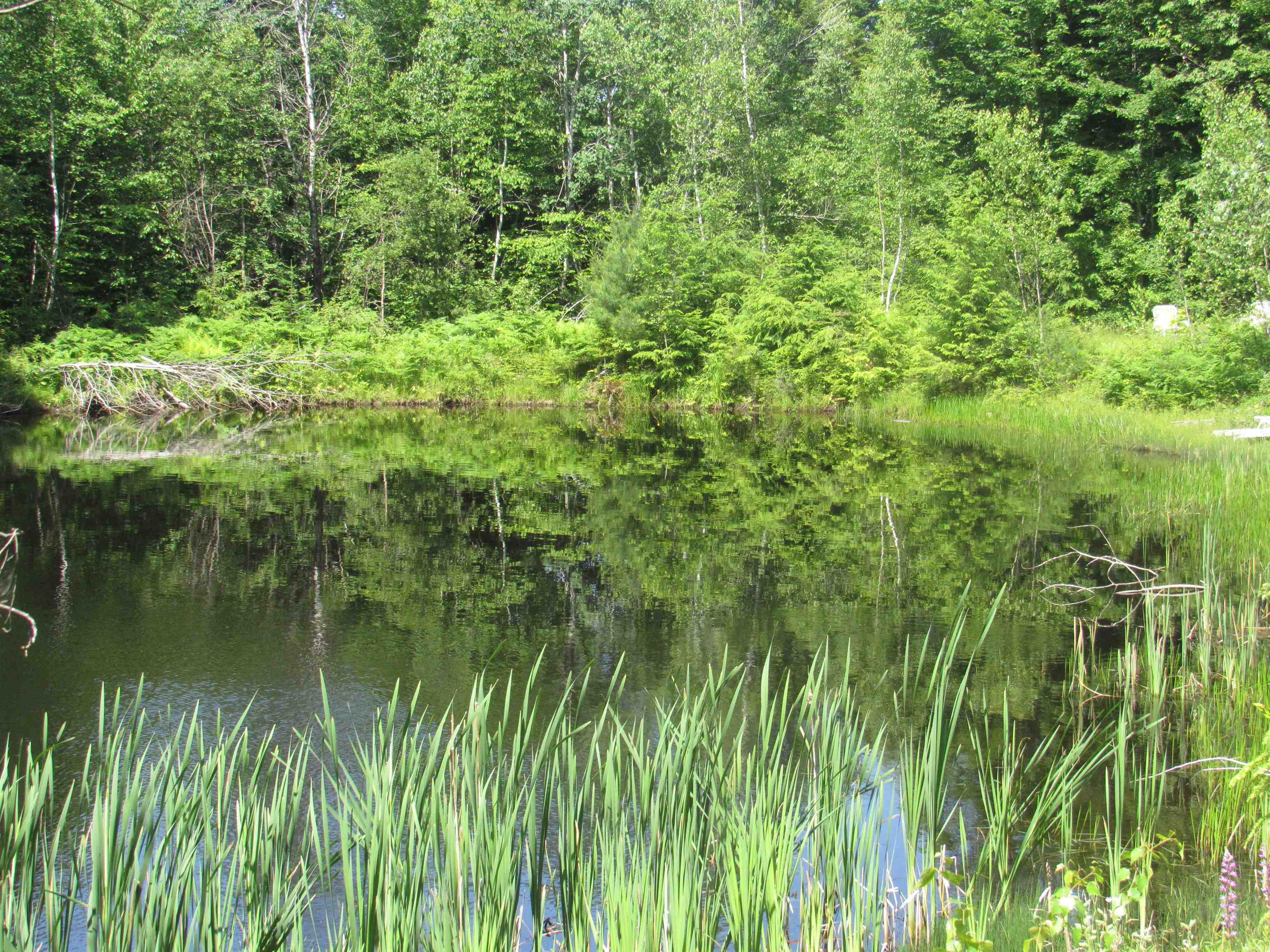 1239 Baldwin Brook Road Property Photo 6