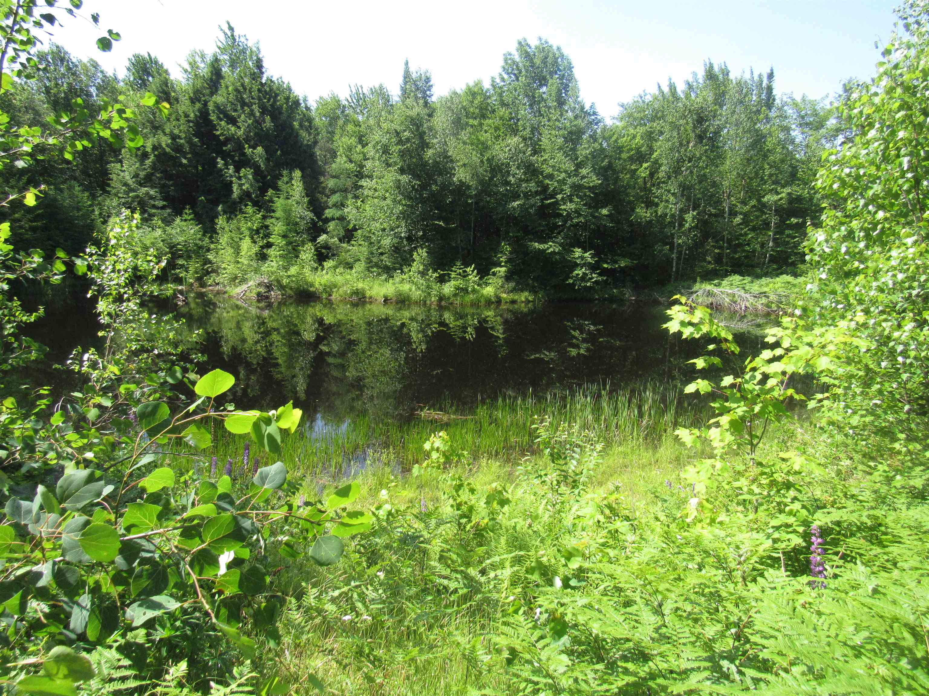 1239 Baldwin Brook Road Property Photo 22