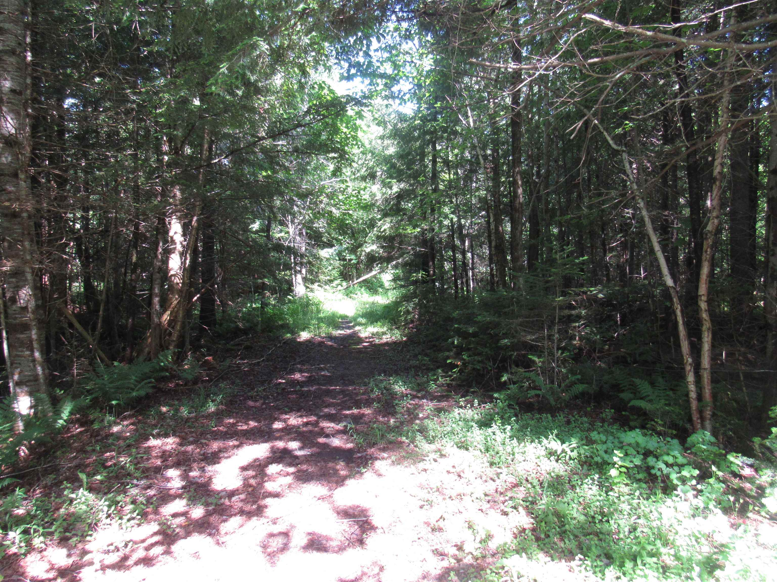 1239 Baldwin Brook Road Property Photo 23