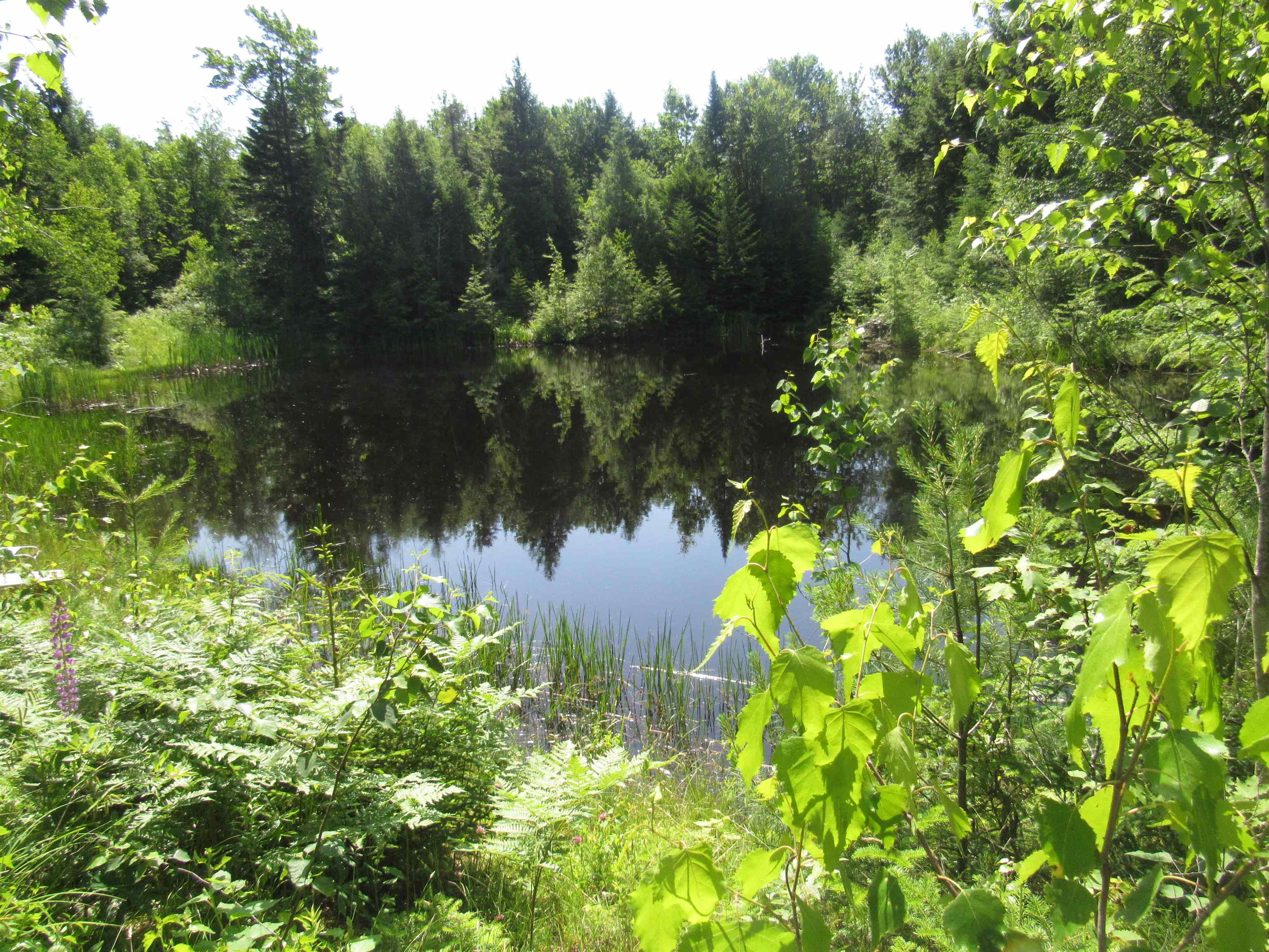 1239 Baldwin Brook Road Property Photo 24