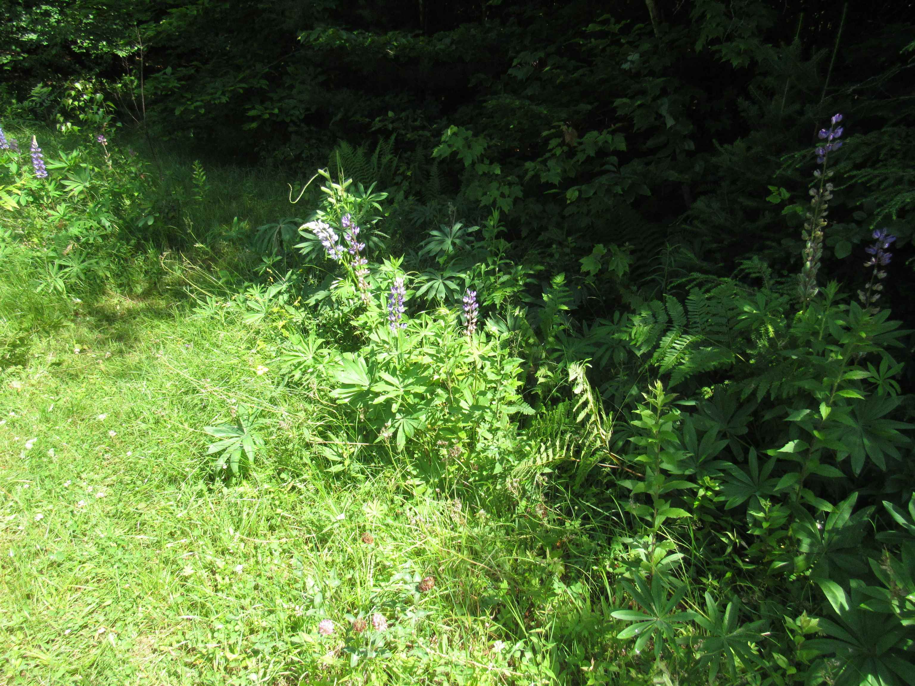 1239 Baldwin Brook Road Property Photo 26
