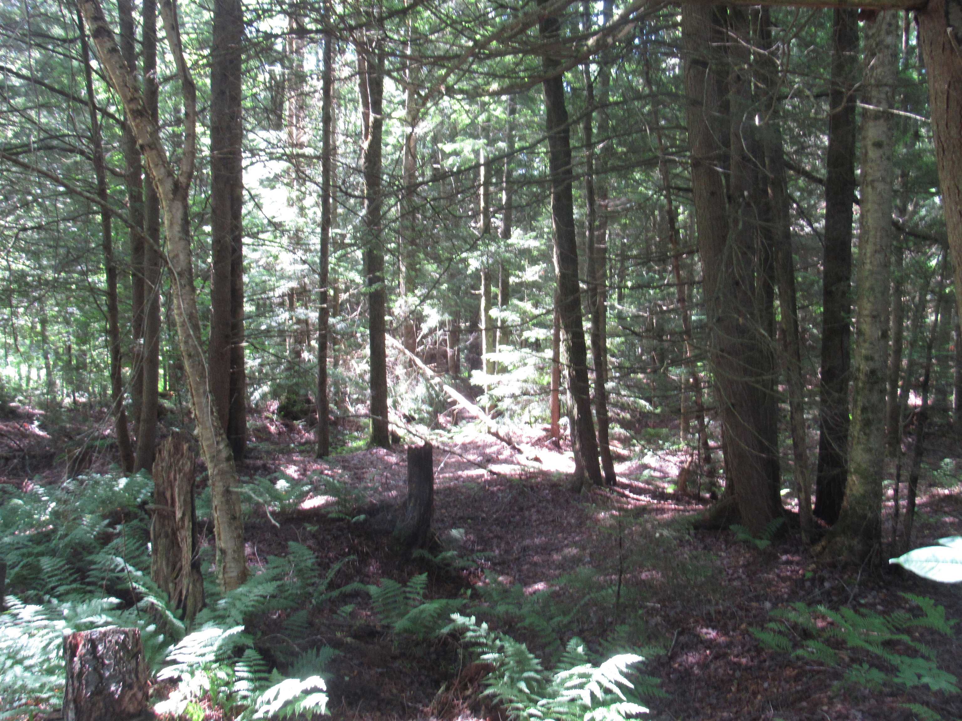 1239 Baldwin Brook Road Property Photo 28