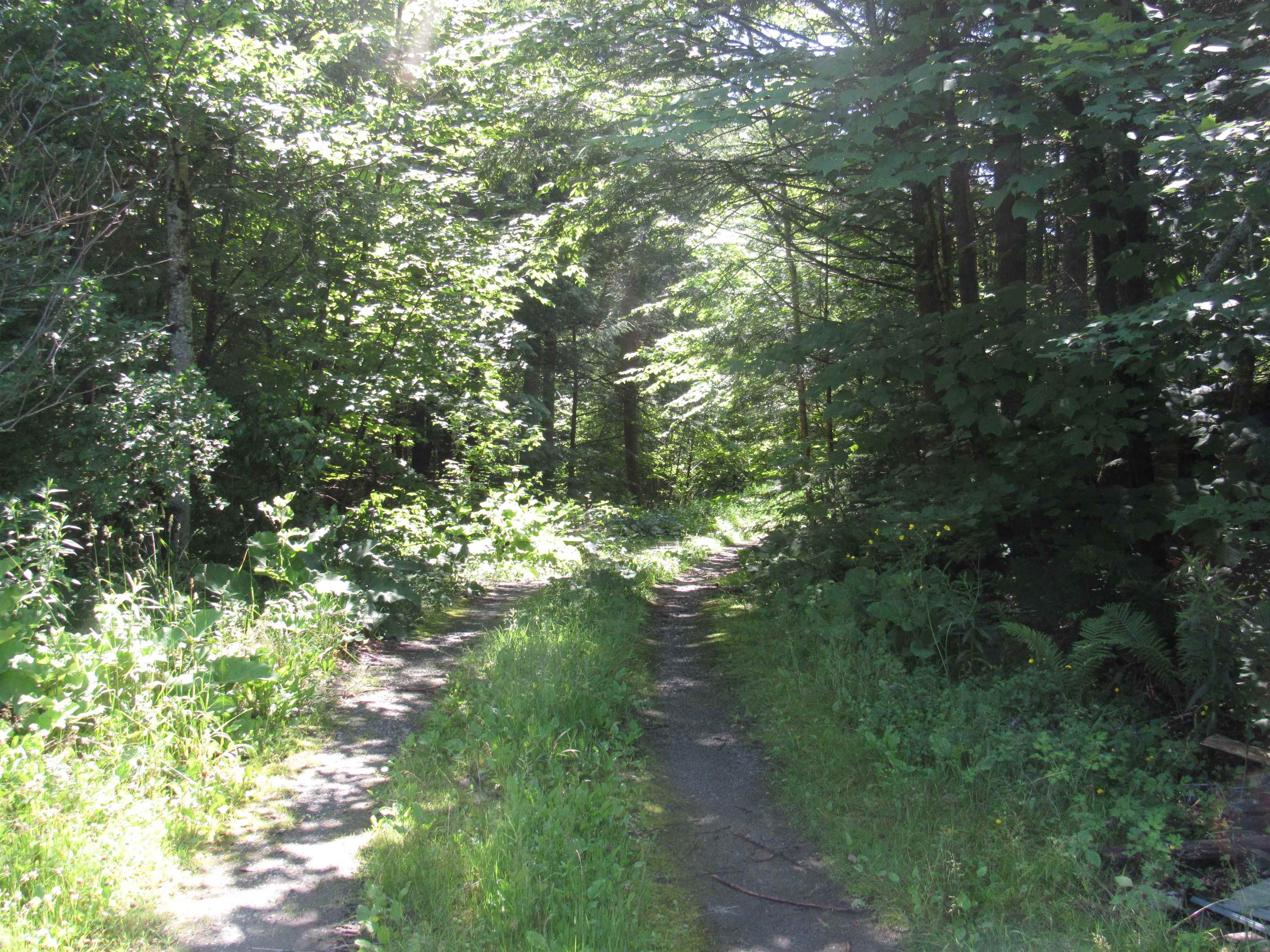 1239 Baldwin Brook Road Property Photo 29